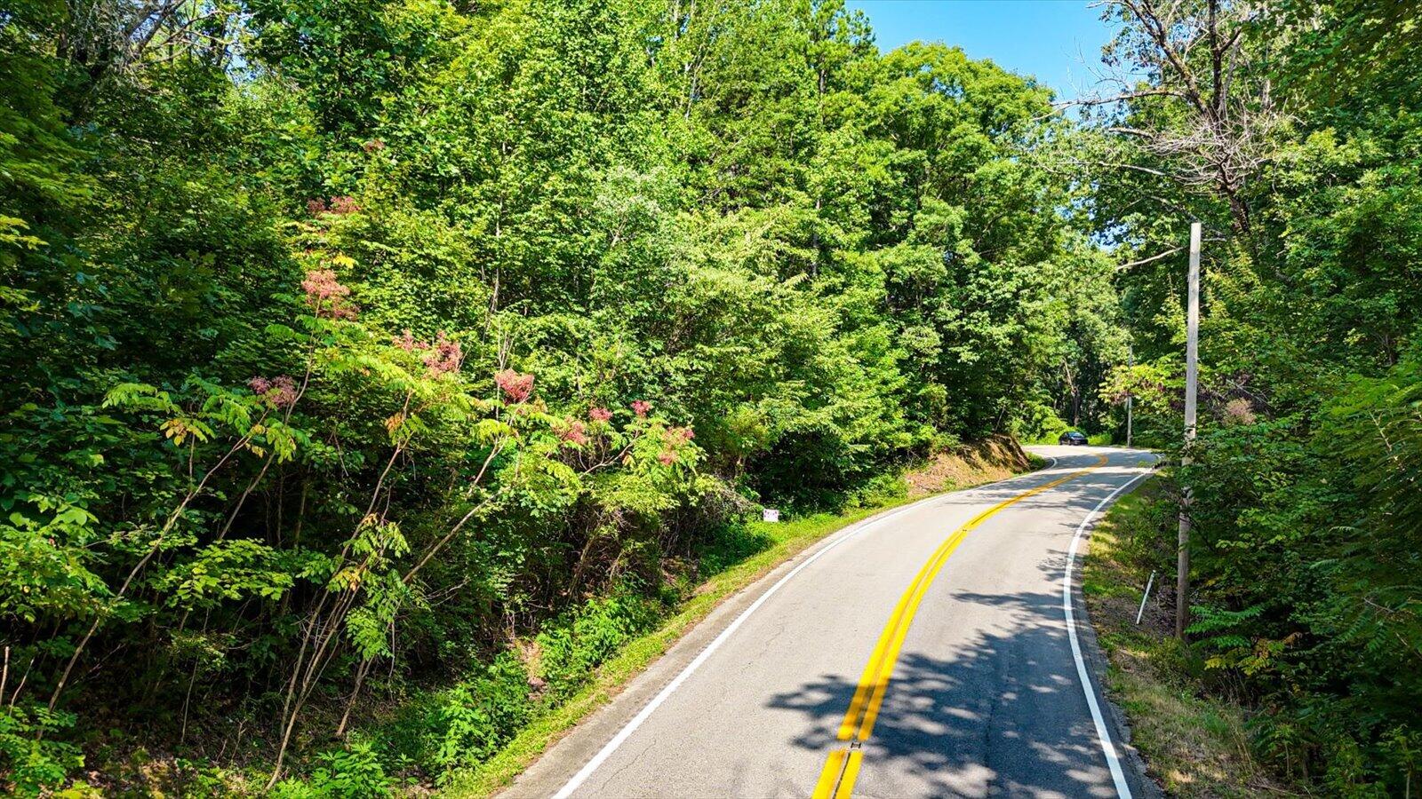 0 Tennessee Hwy 156
