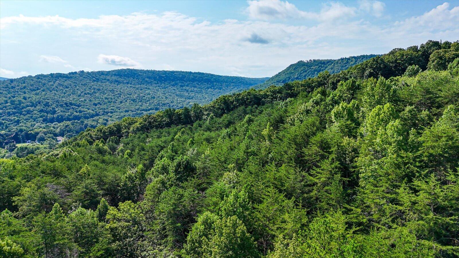 0 Tennessee Hwy 156