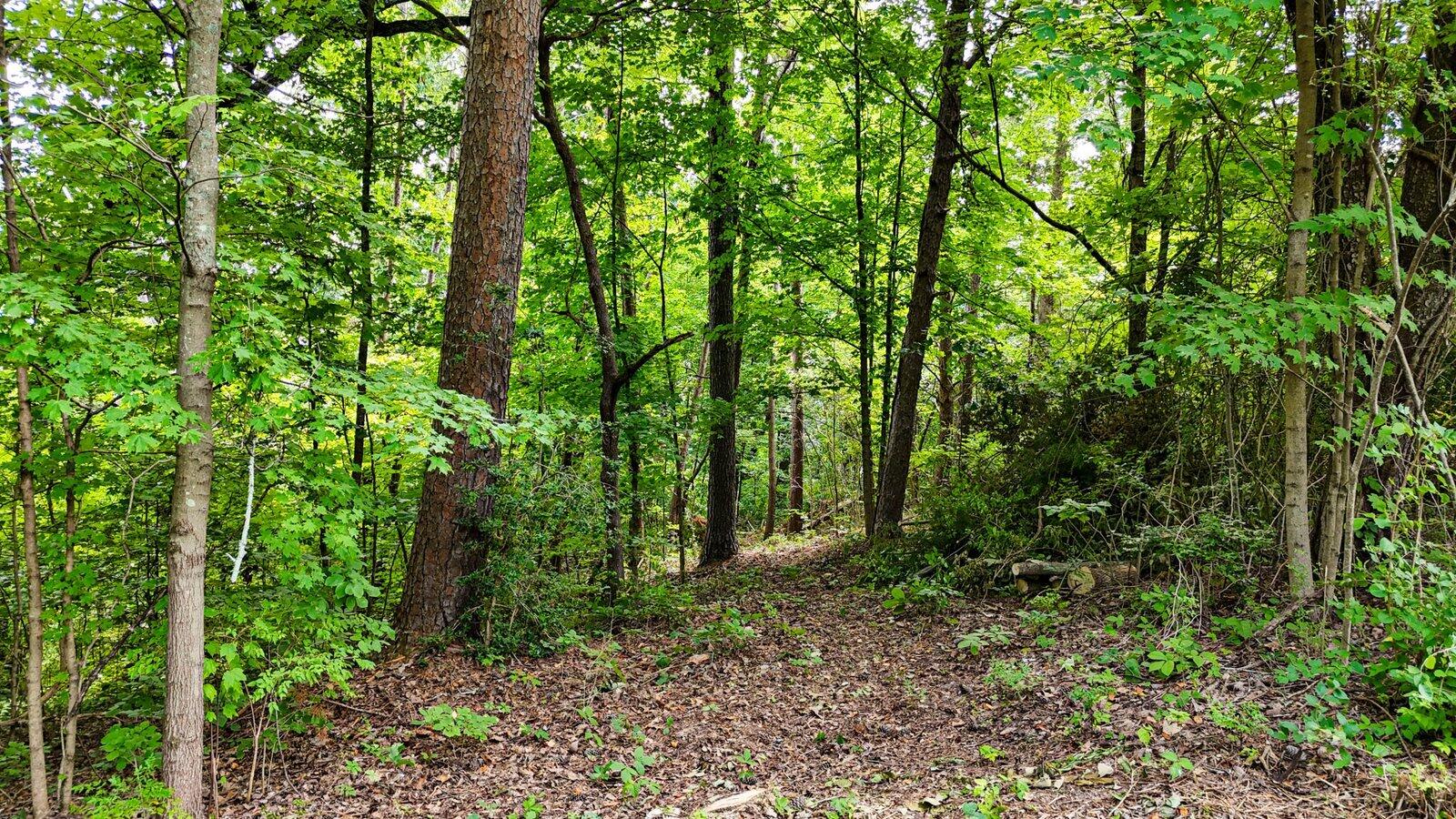 5064 Hunter Trail