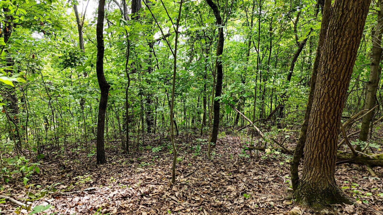 5064 Hunter Trail