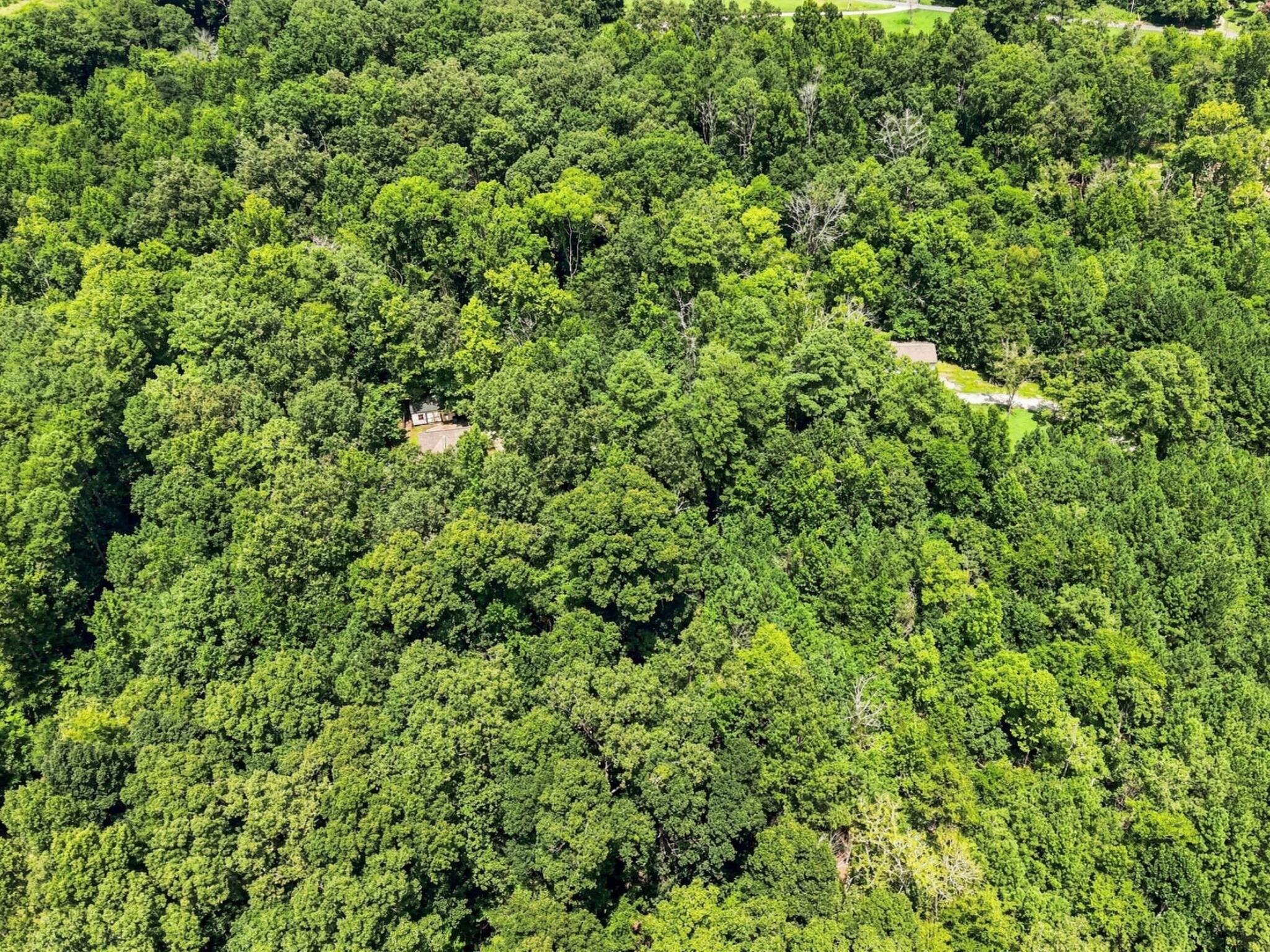 158 Hidden Hollow Road