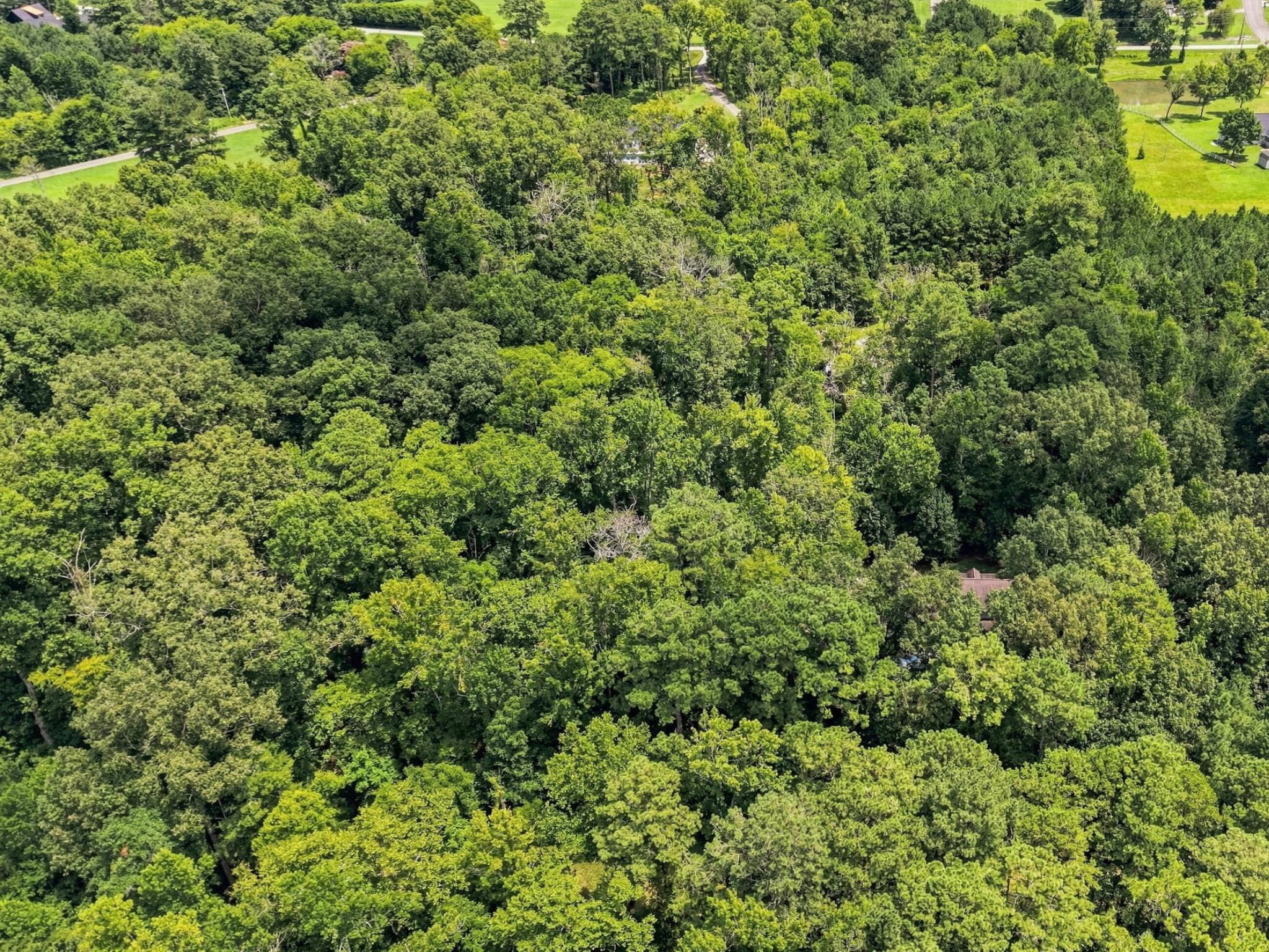 158 Hidden Hollow Road