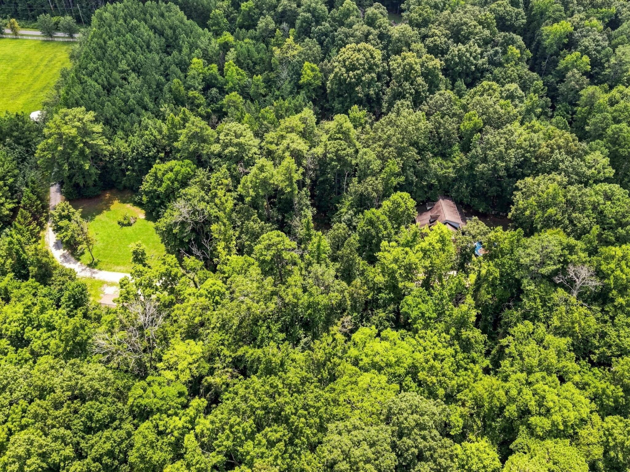 158 Hidden Hollow Road