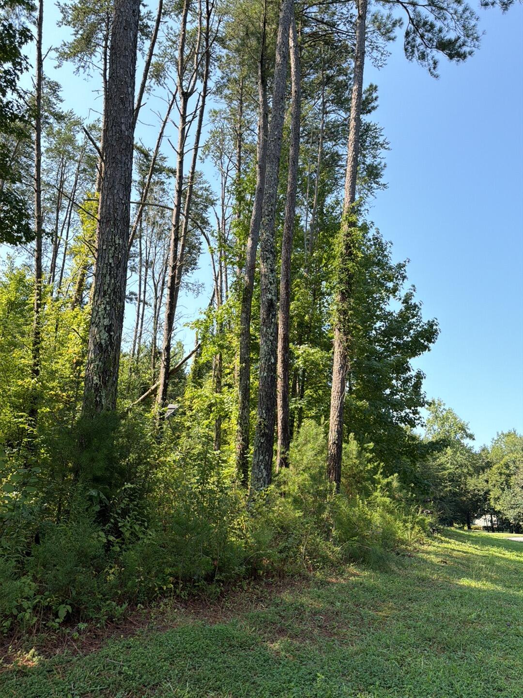 1724 Oakbrook Trail, 6