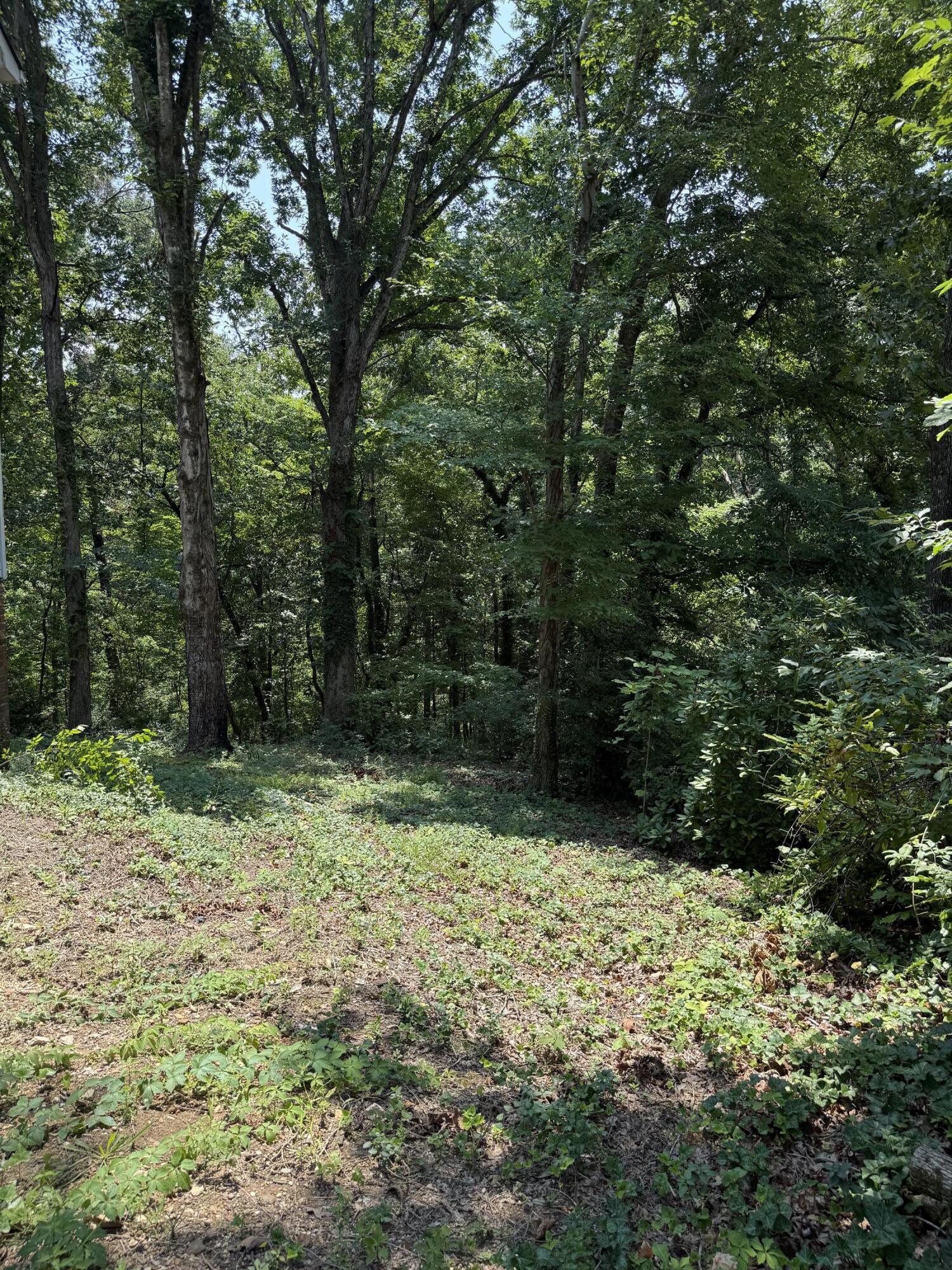 6524 Lake Shadows Circle