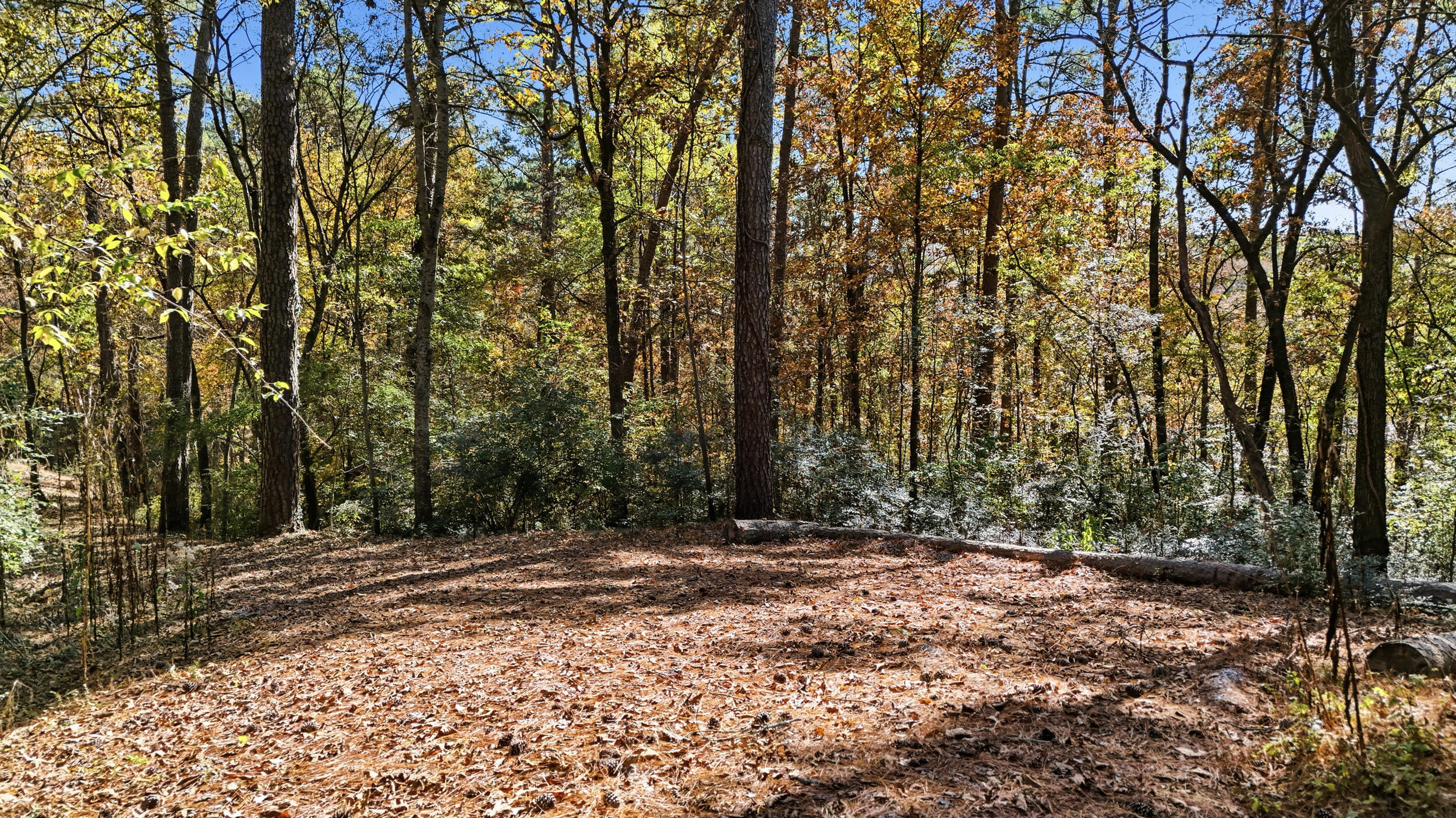 4401 James Lane