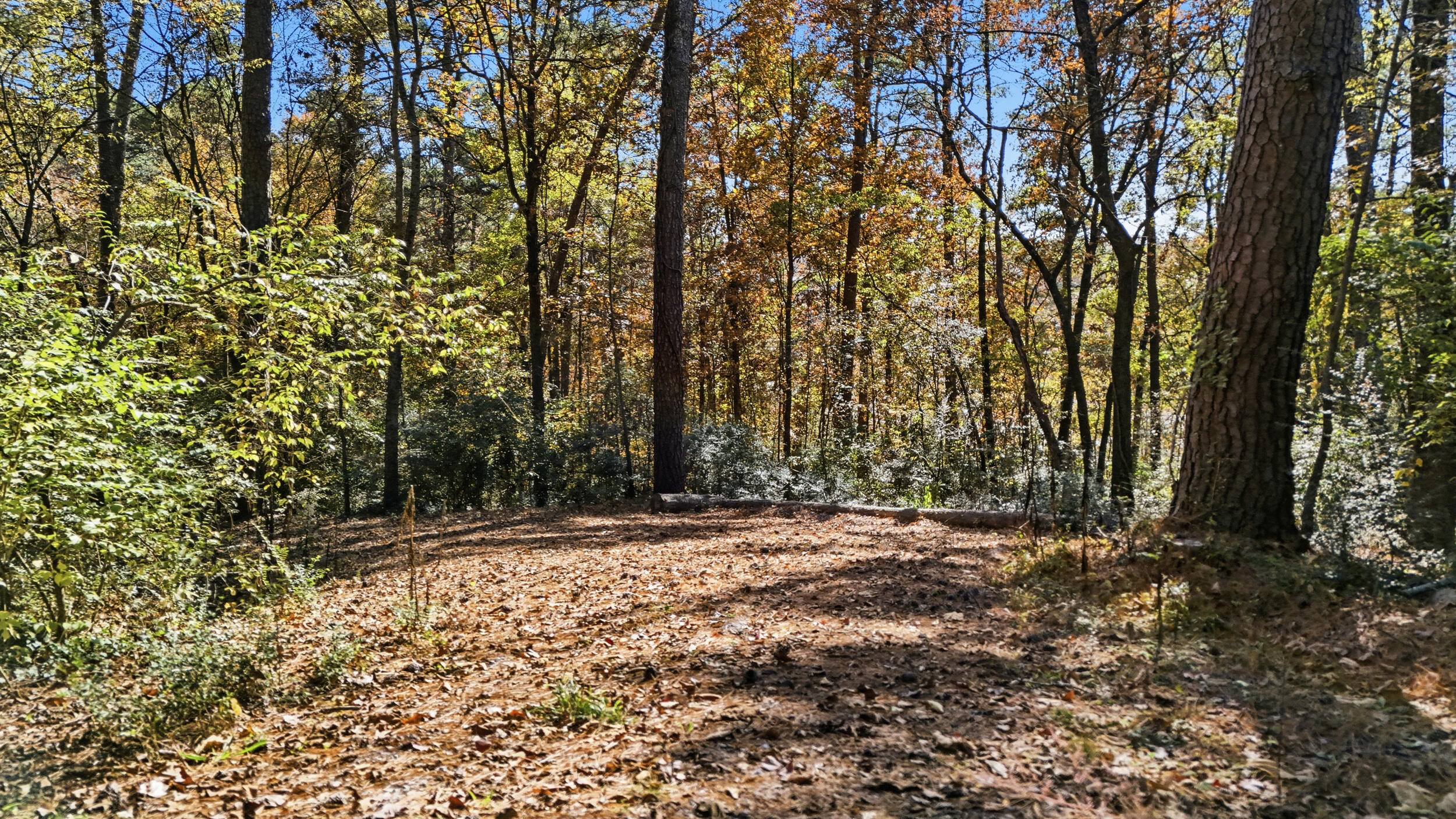 4401 James Lane