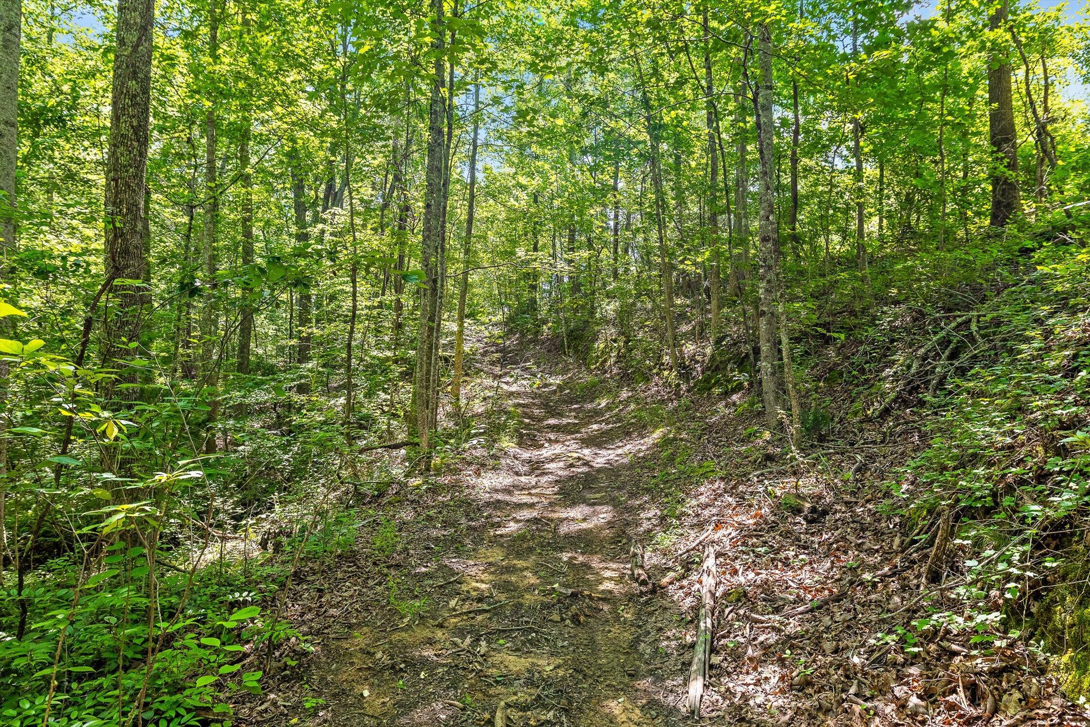 0 Maple Leaf Trail, Lot 5