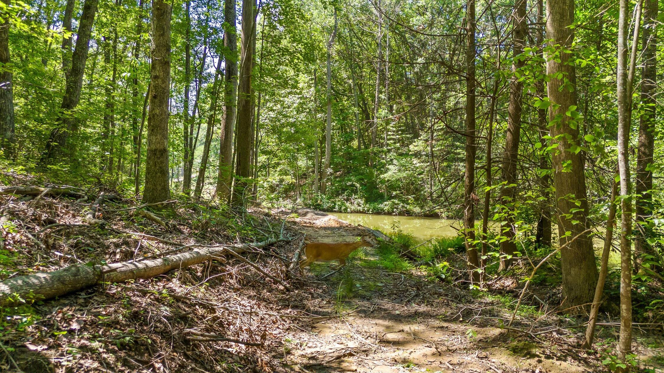 0 Maple Leaf Trail, Lot 5