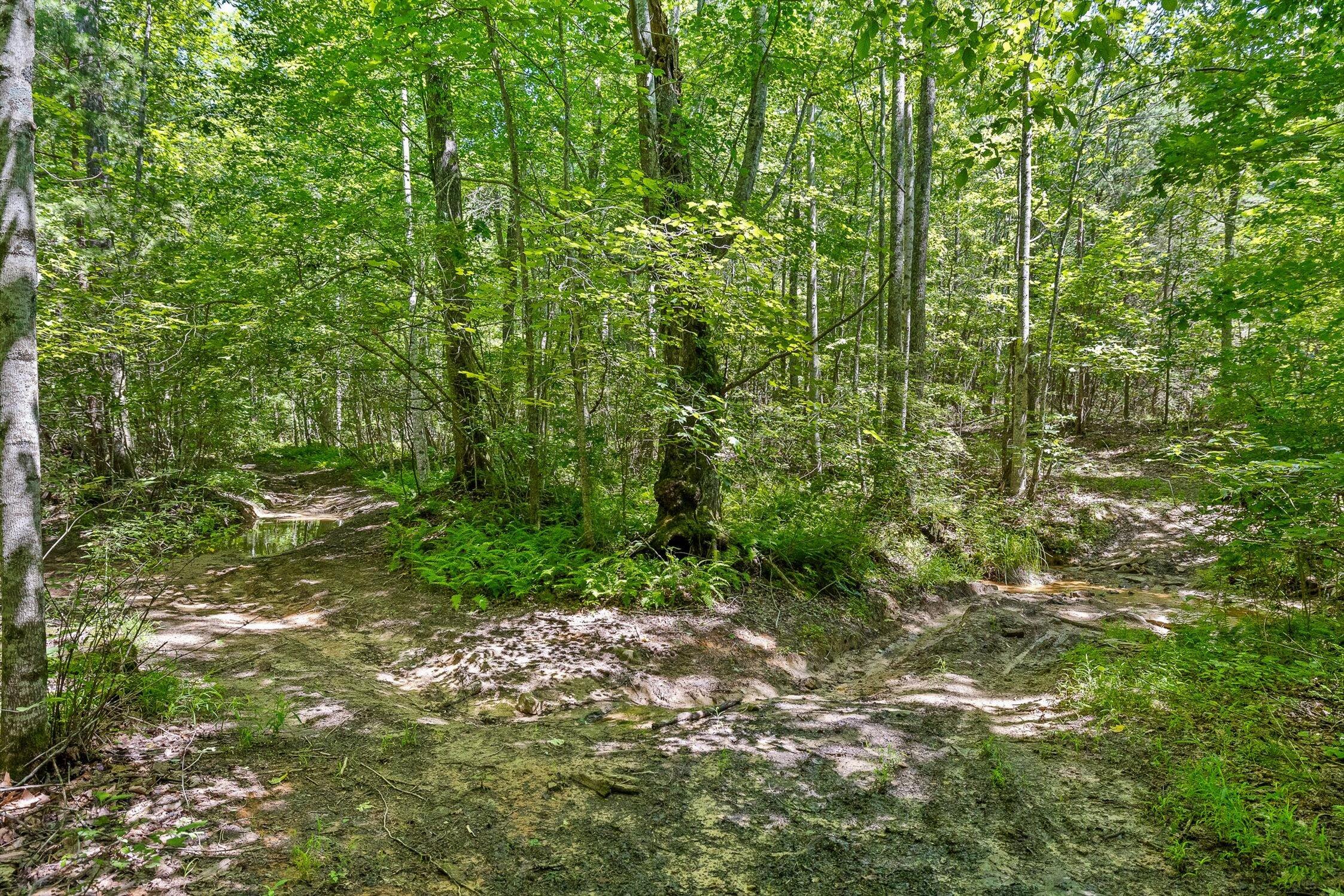 0 Maple Leaf Trail, Lot 5
