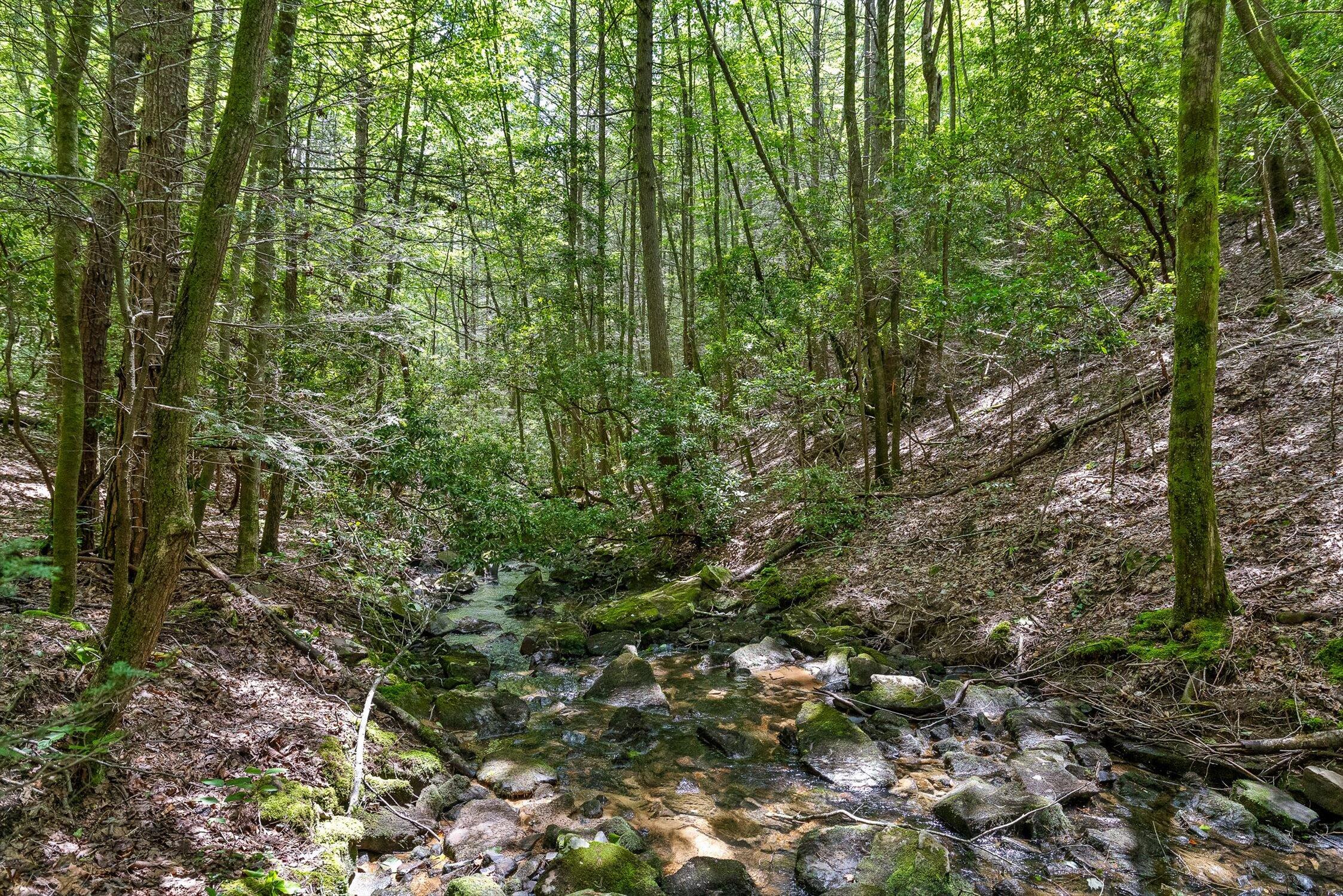 0 Maple Leaf Trail, Lot 5