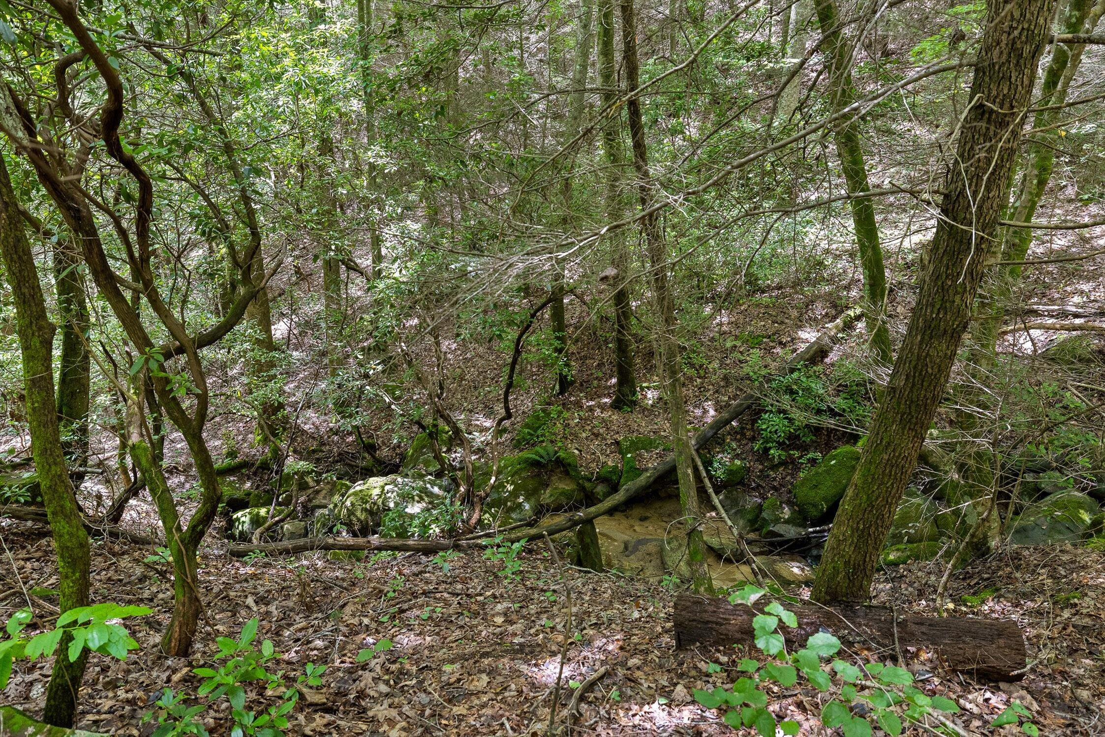0 Maple Leaf Trail, Lot 5