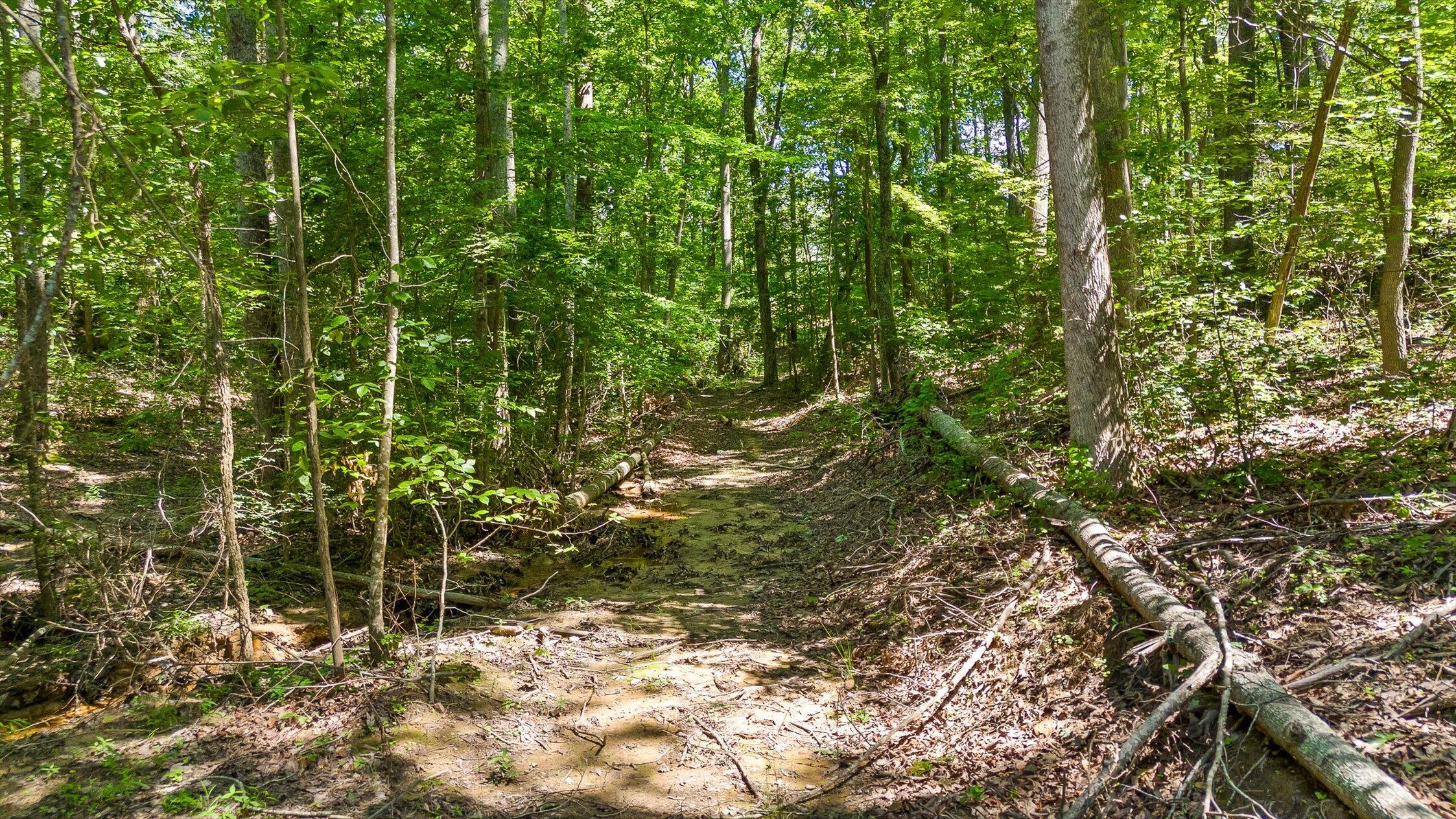 0 Maple Leaf Trail, Lot 5