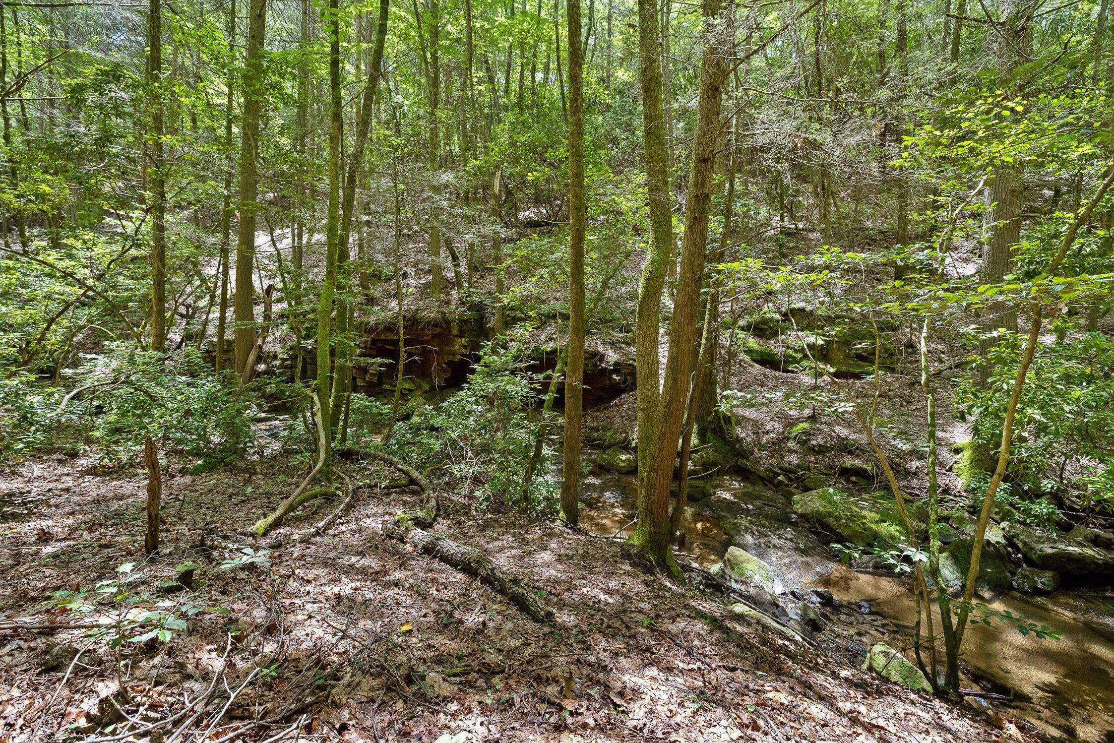0 Maple Leaf Trail, Lot 5