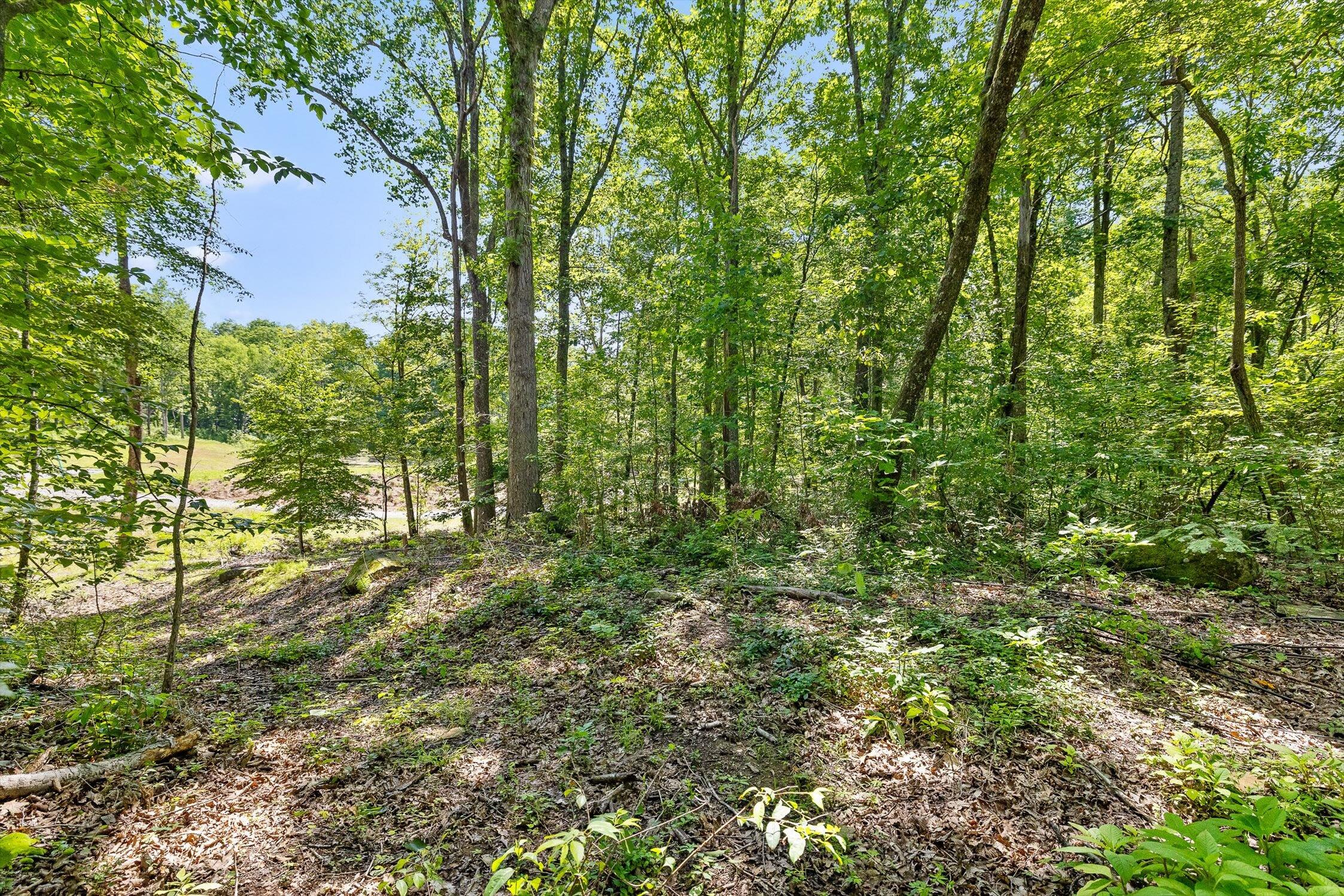 0 Maple Leaf Trail, Lot 5