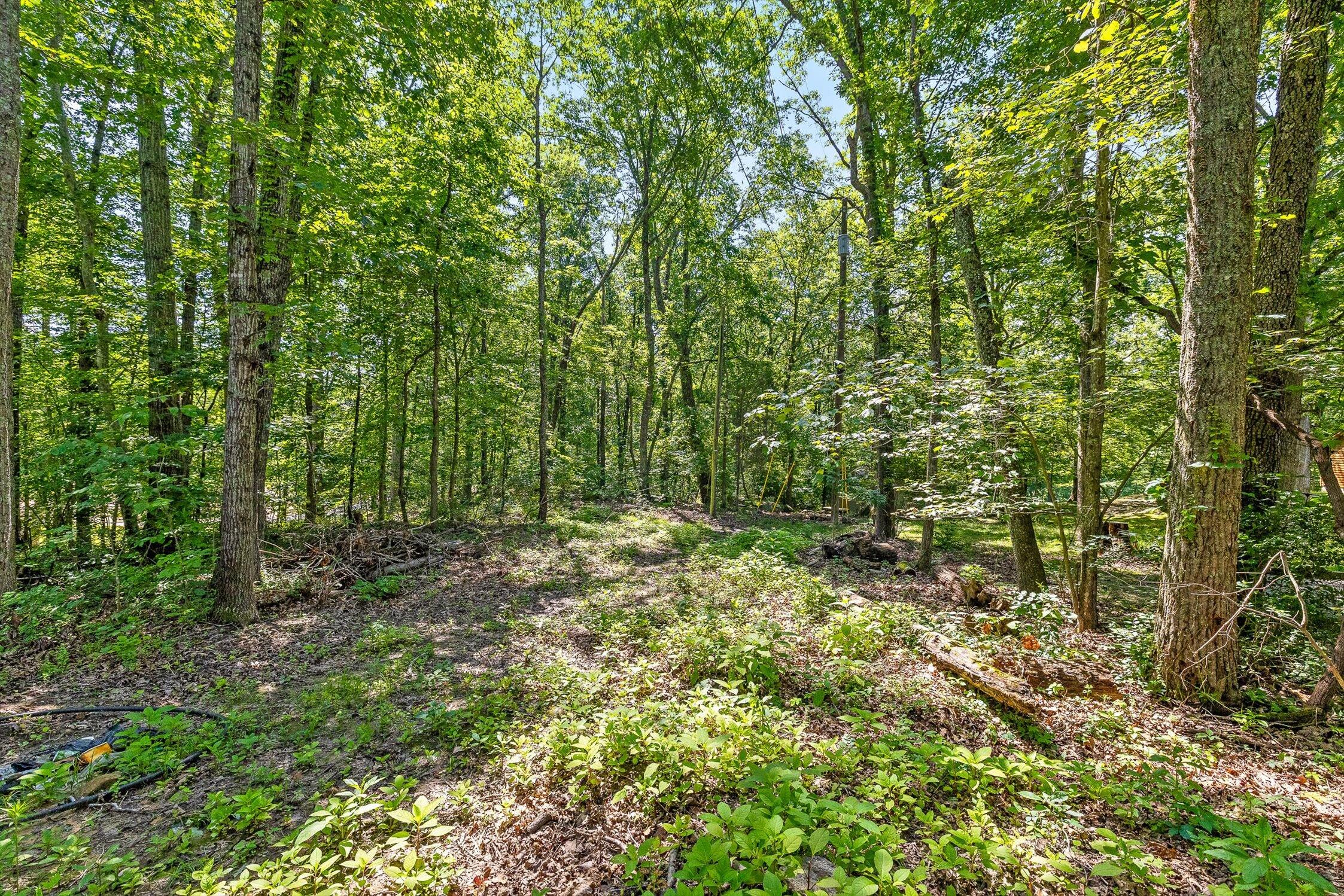 0 Maple Leaf Trail, Lot 5
