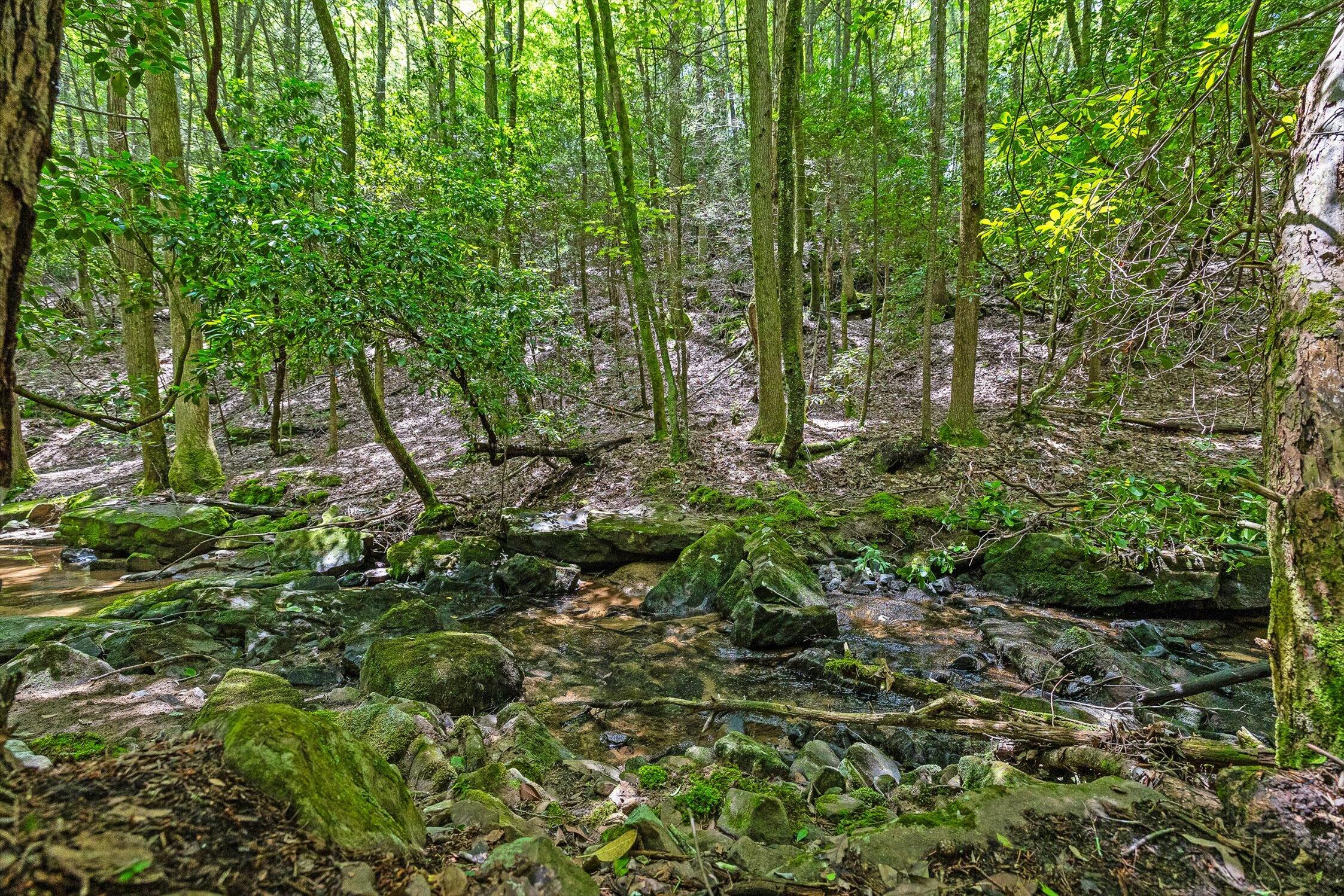 0 Maple Leaf Trail, Lot 5