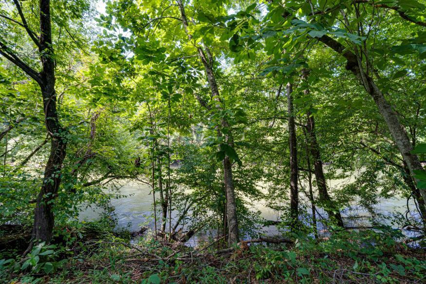 160 Tree Frog Lane
