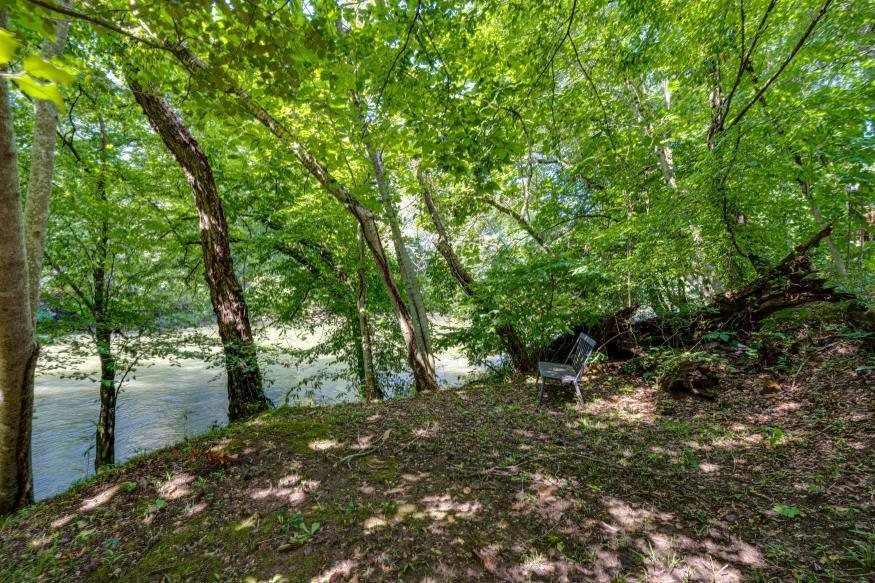 160 Tree Frog Lane
