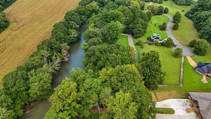 160 Tree Frog Lane