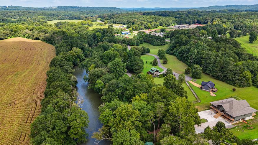 160 Tree Frog Lane