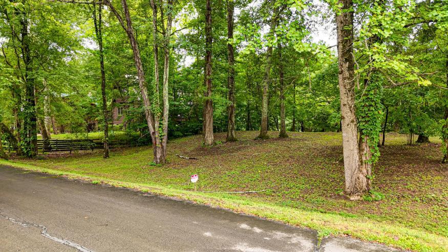 160 Tree Frog Lane