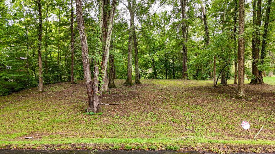 160 Tree Frog Lane