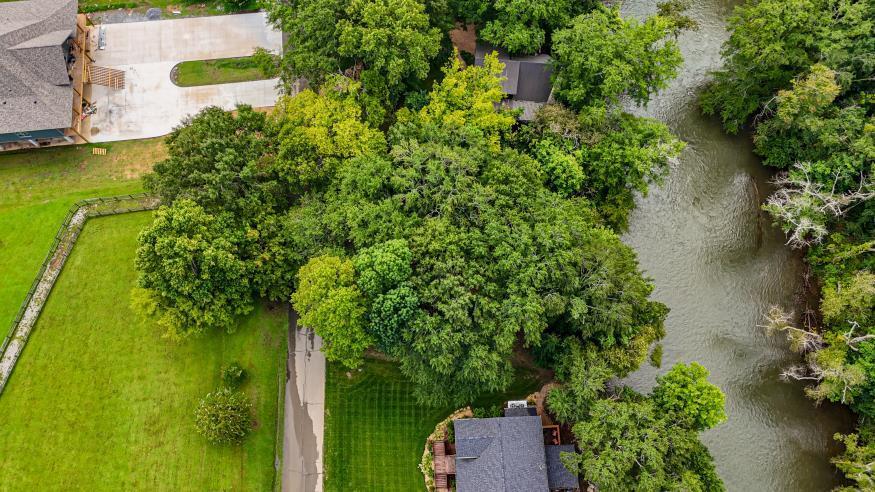 160 Tree Frog Lane