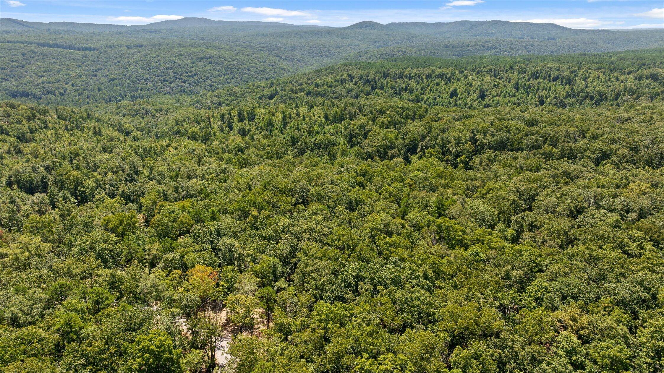 1537 Vulcan Road, 17