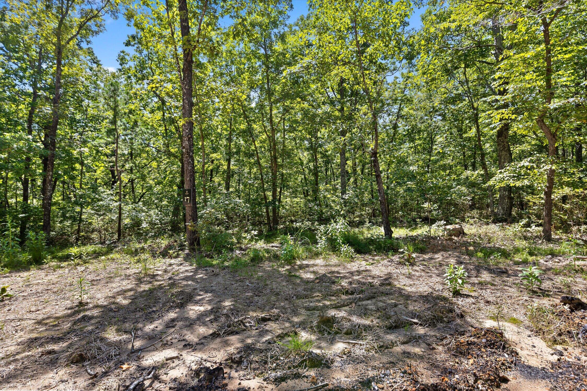 1537 Vulcan Road, 17