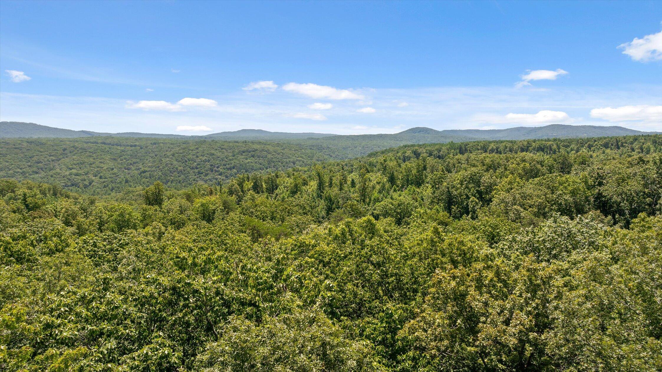 1537 Vulcan Road, 17