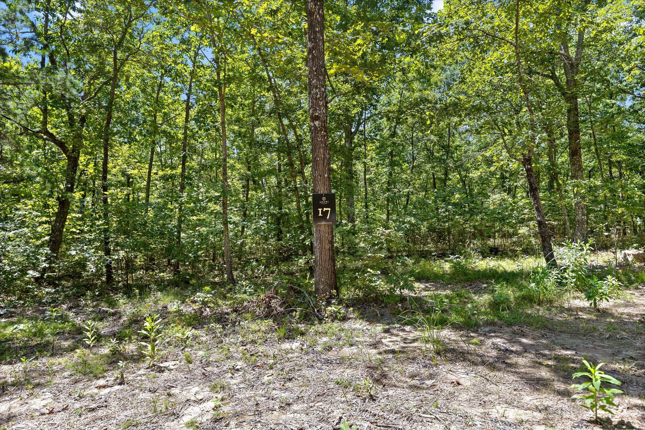1537 Vulcan Road, 17