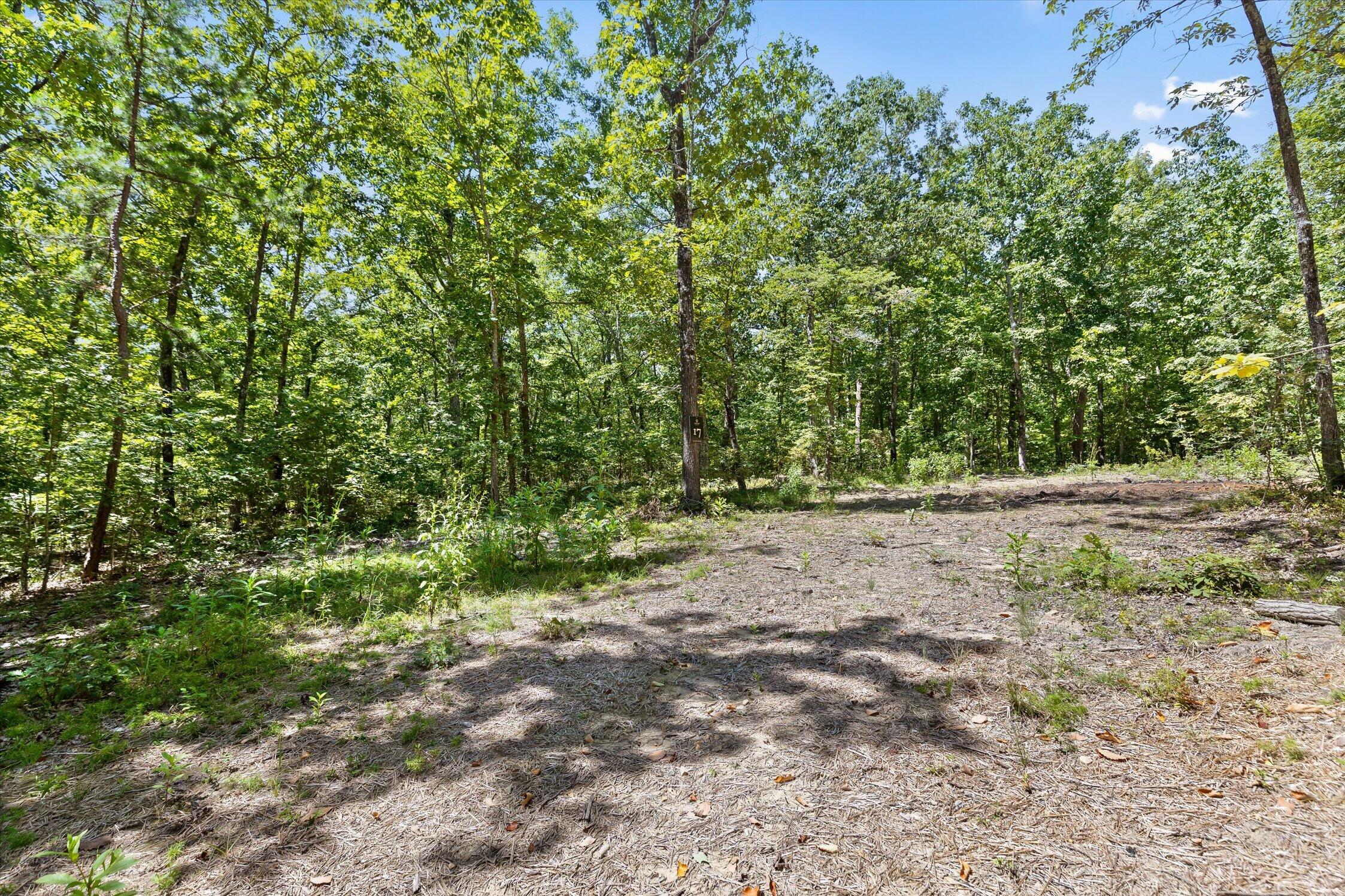 1537 Vulcan Road, 17