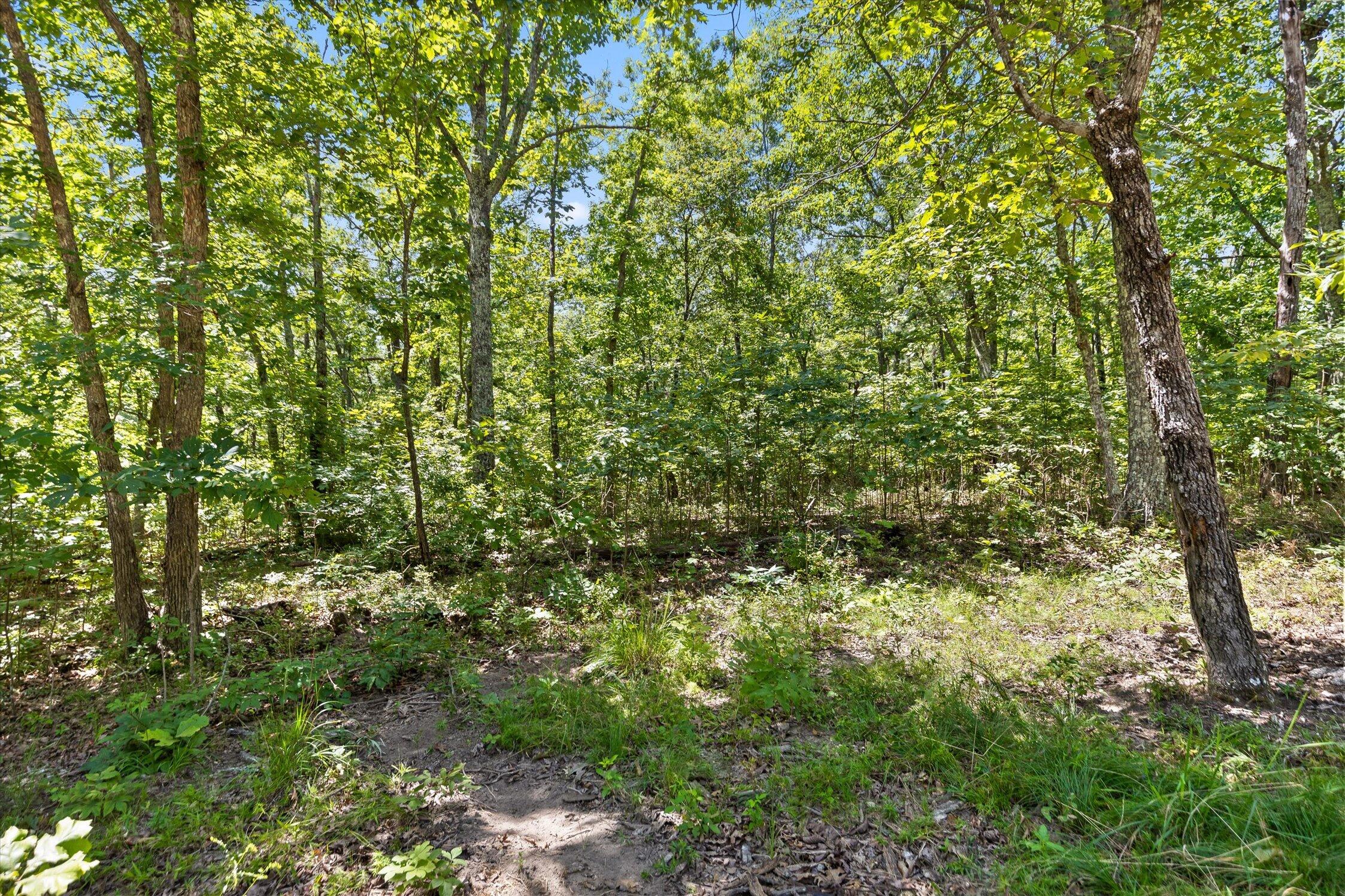 1537 Vulcan Road, 17