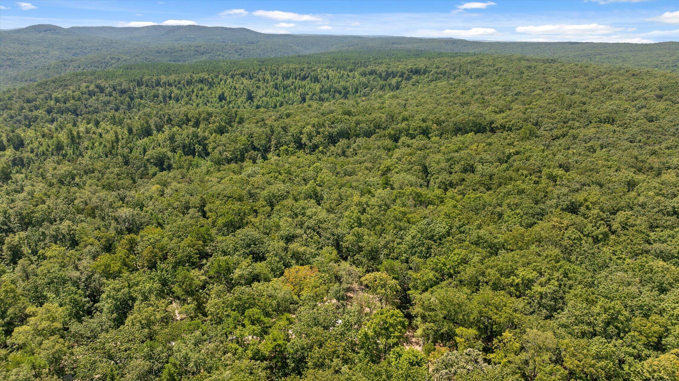 1537 Vulcan Road, 17