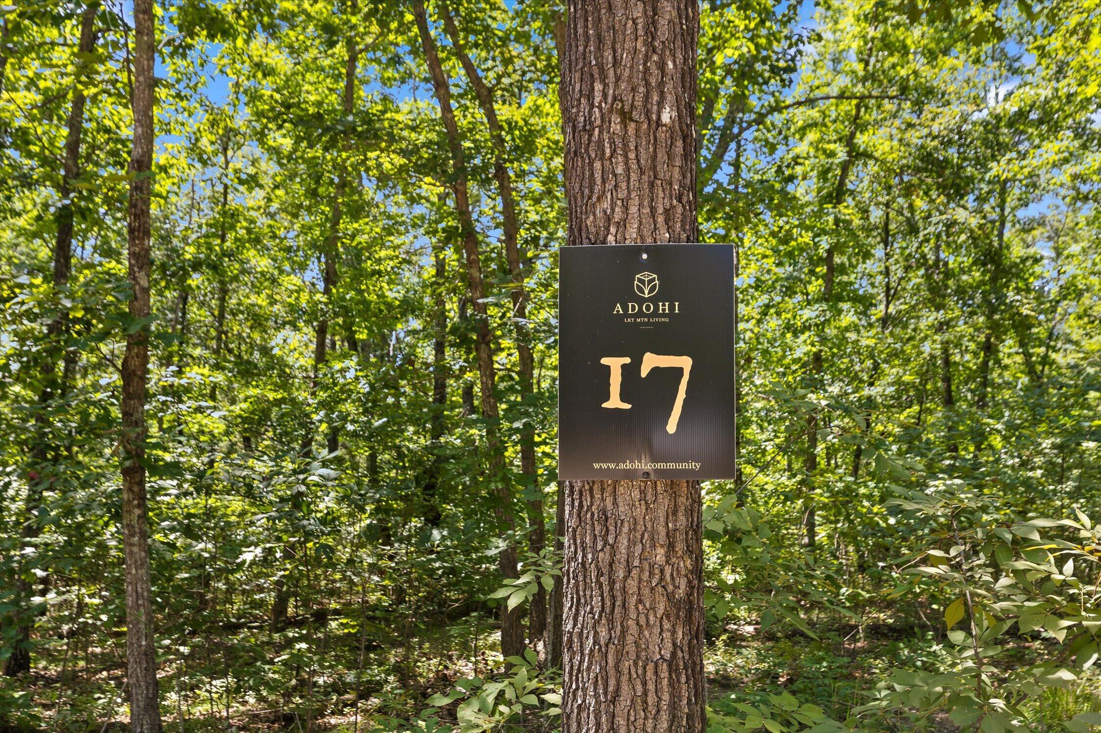 1537 Vulcan Road, 17