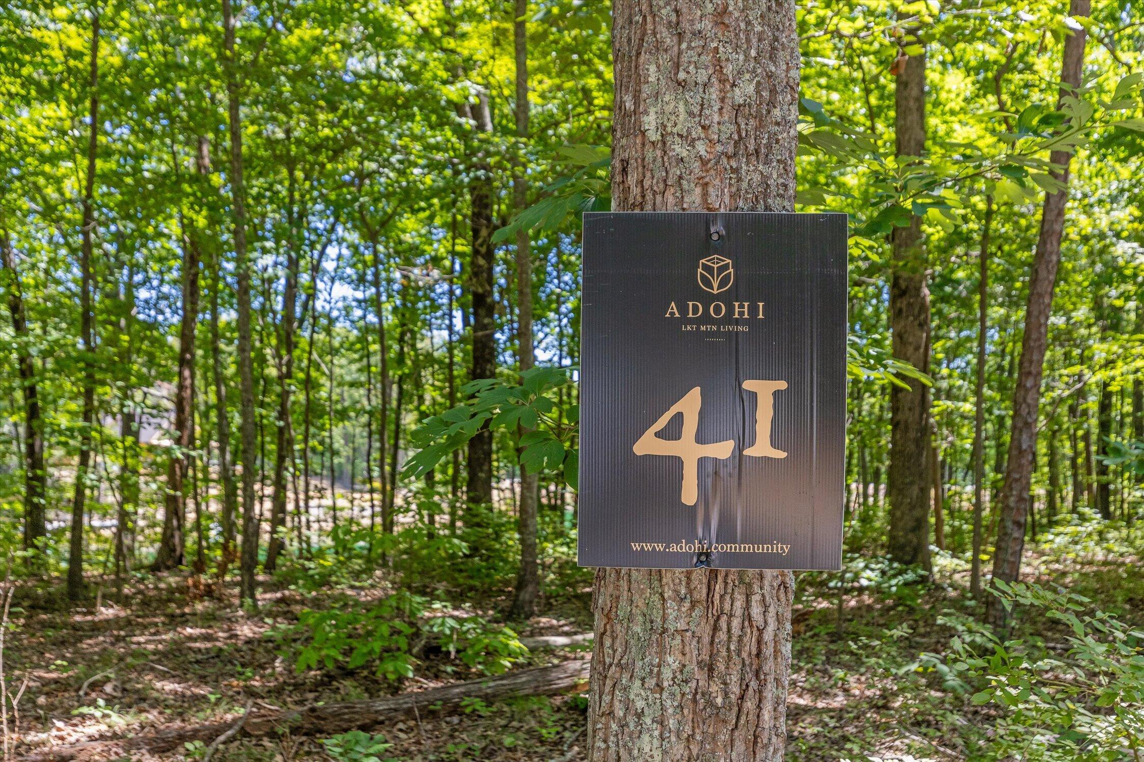1537 Vulcan Road, 41
