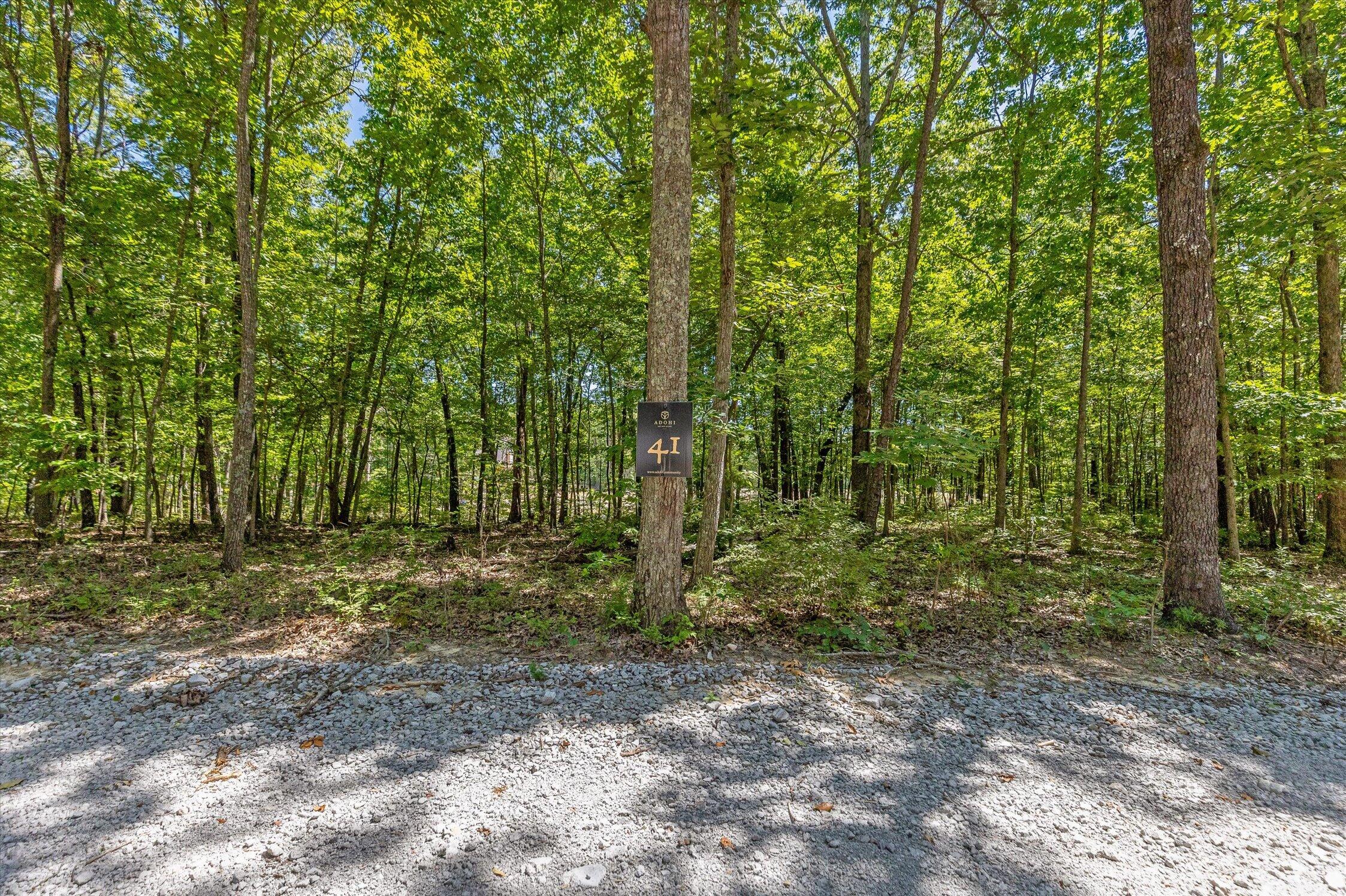 1537 Vulcan Road, 41