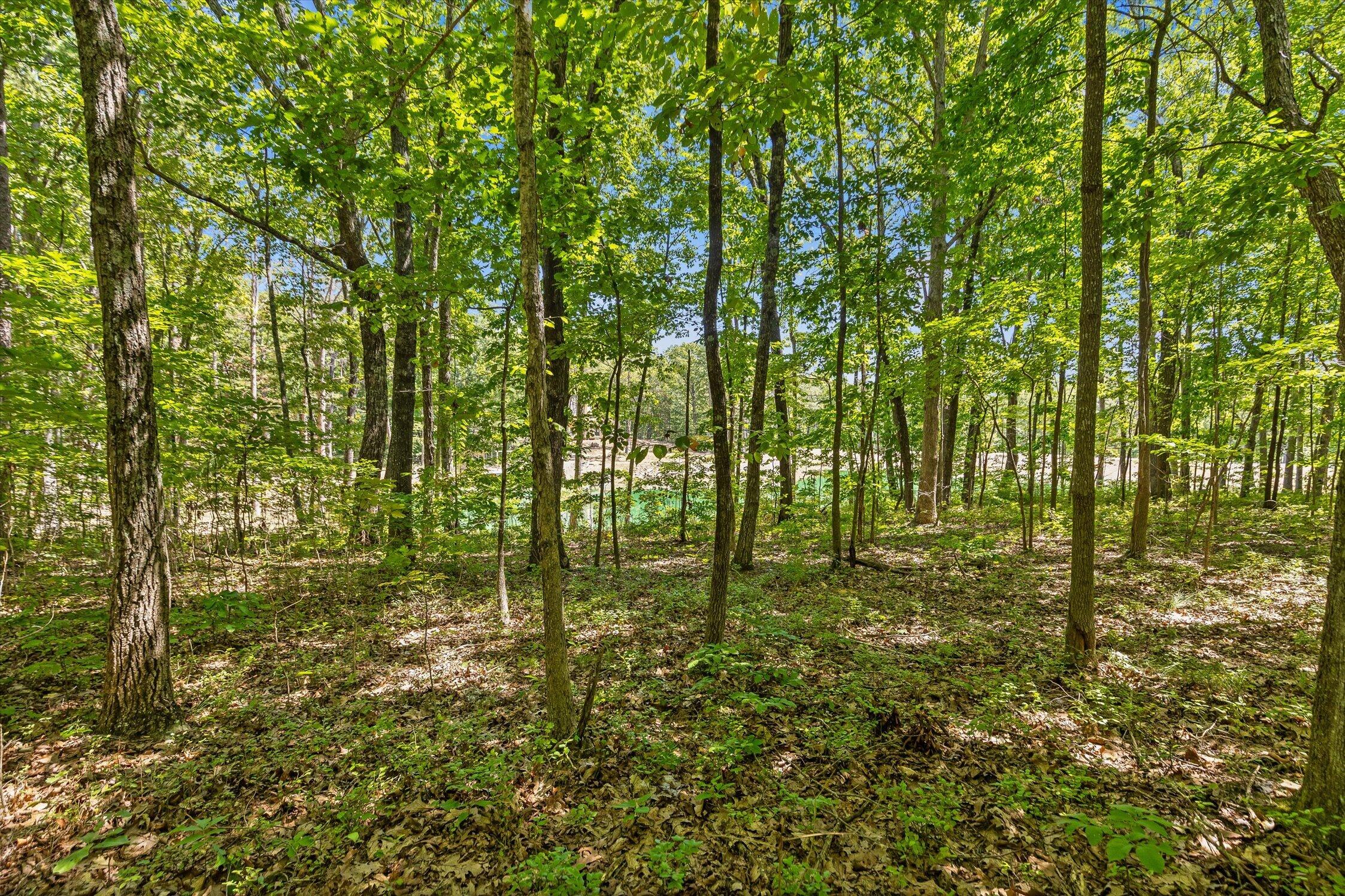 1537 Vulcan Road, 41