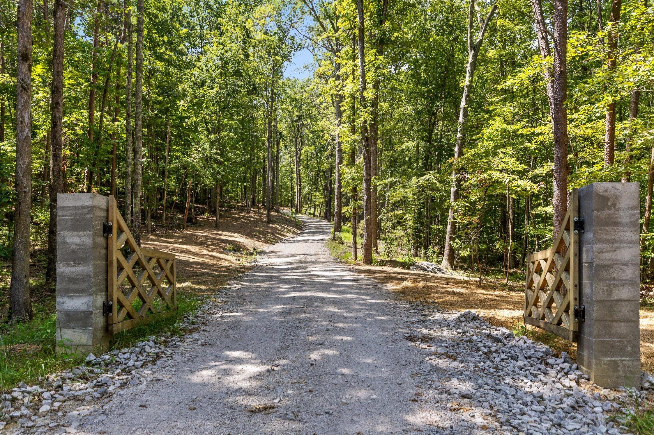1537 Vulcan Road, 41