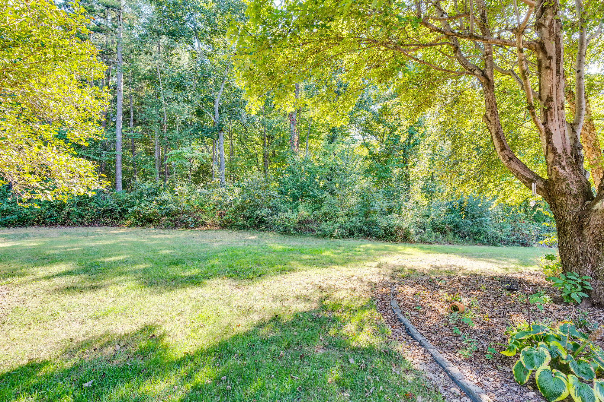 5718 Mountain Grove Drive