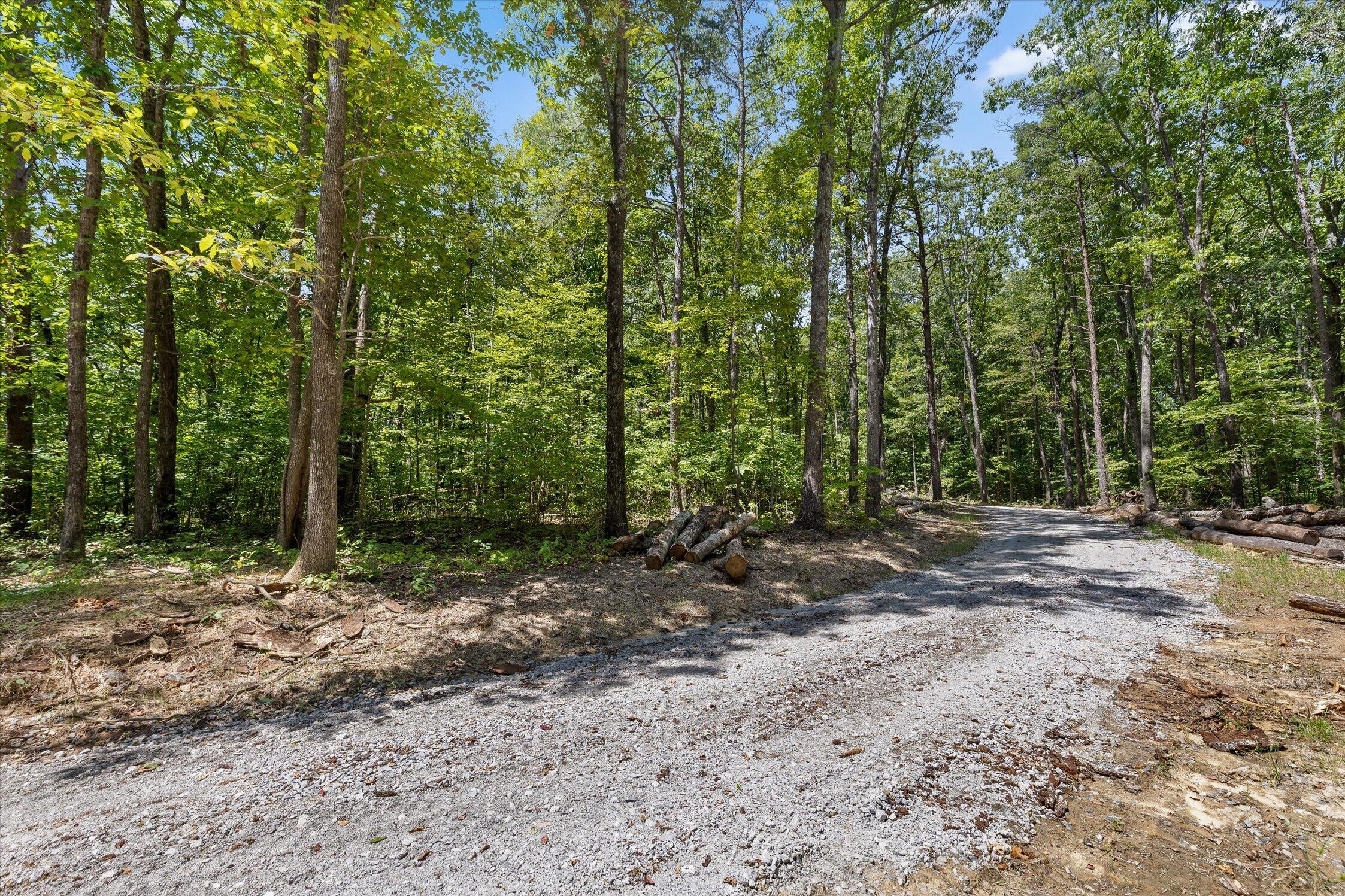 1537 Vulcan Road, 32