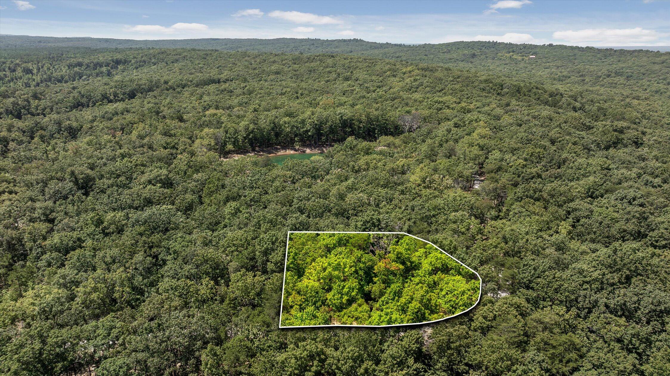 1537 Vulcan Road, 32