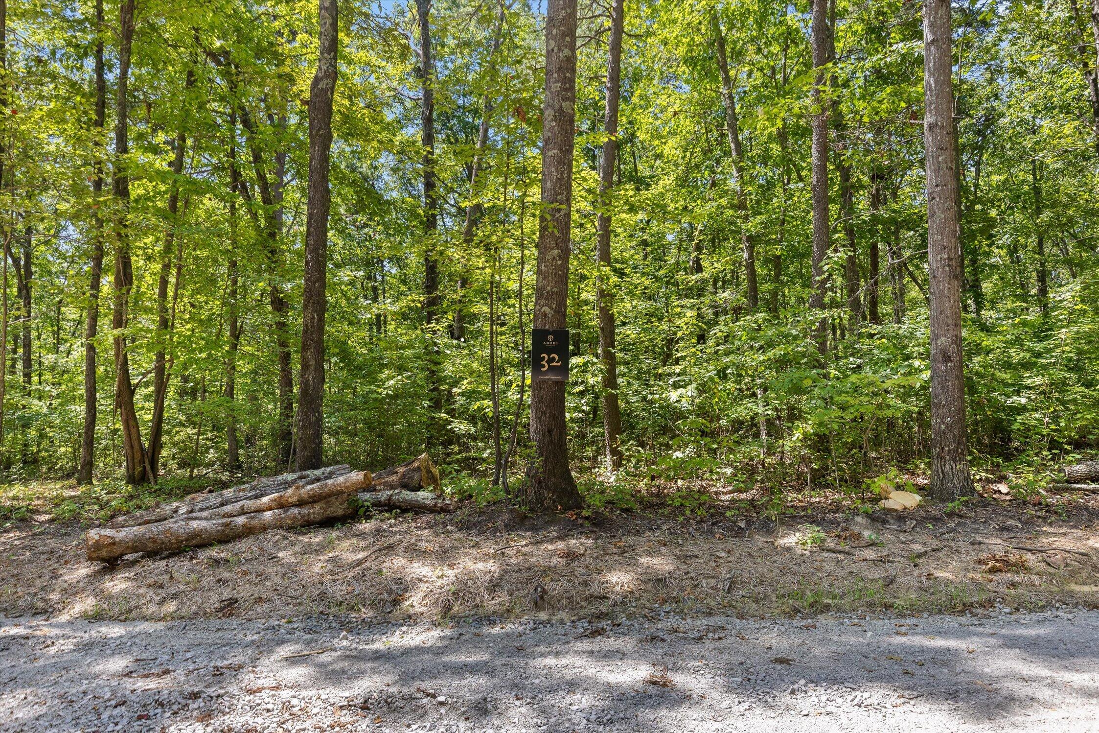 1537 Vulcan Road, 32