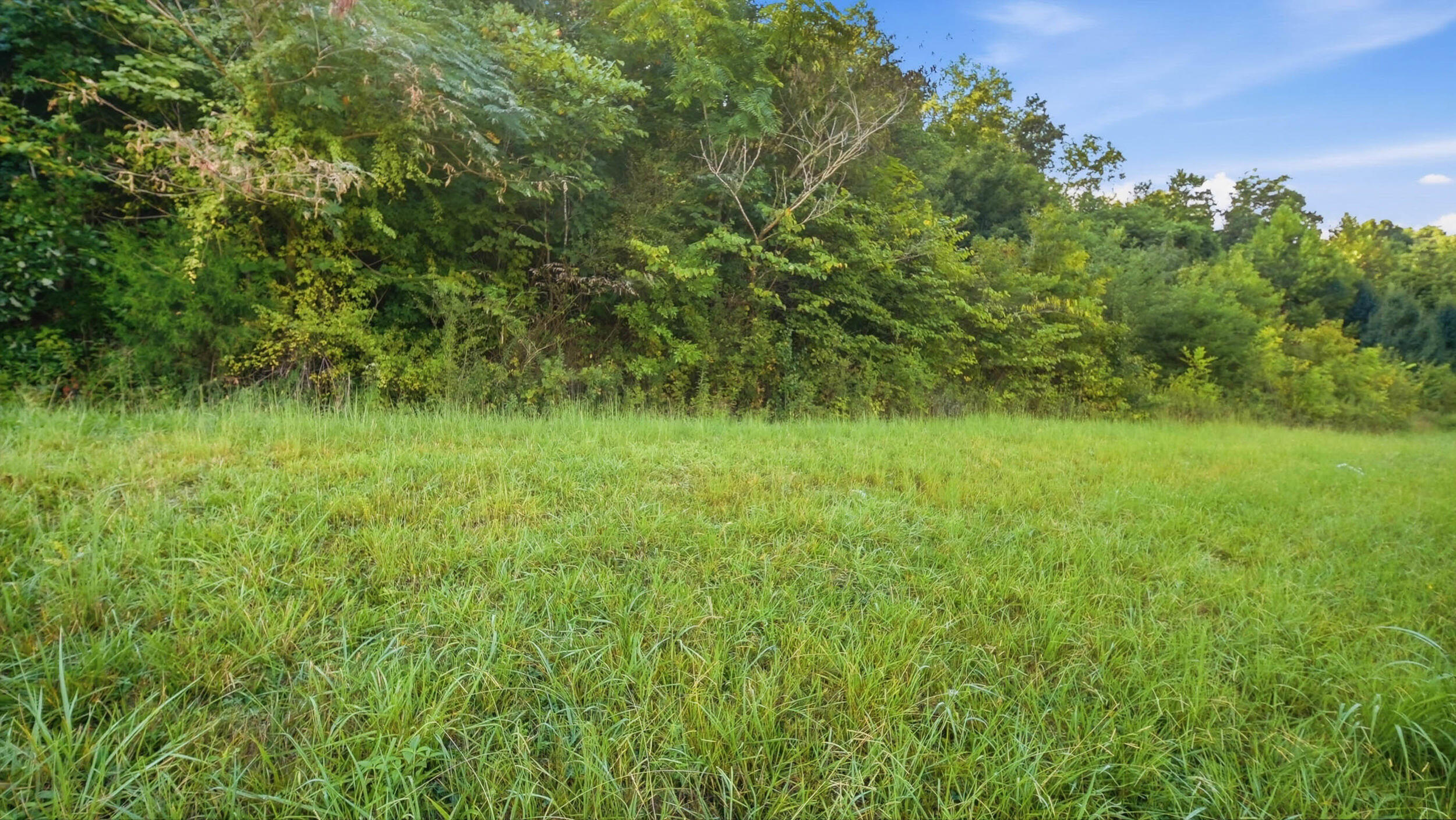0 Rhea County Highway, 1.32