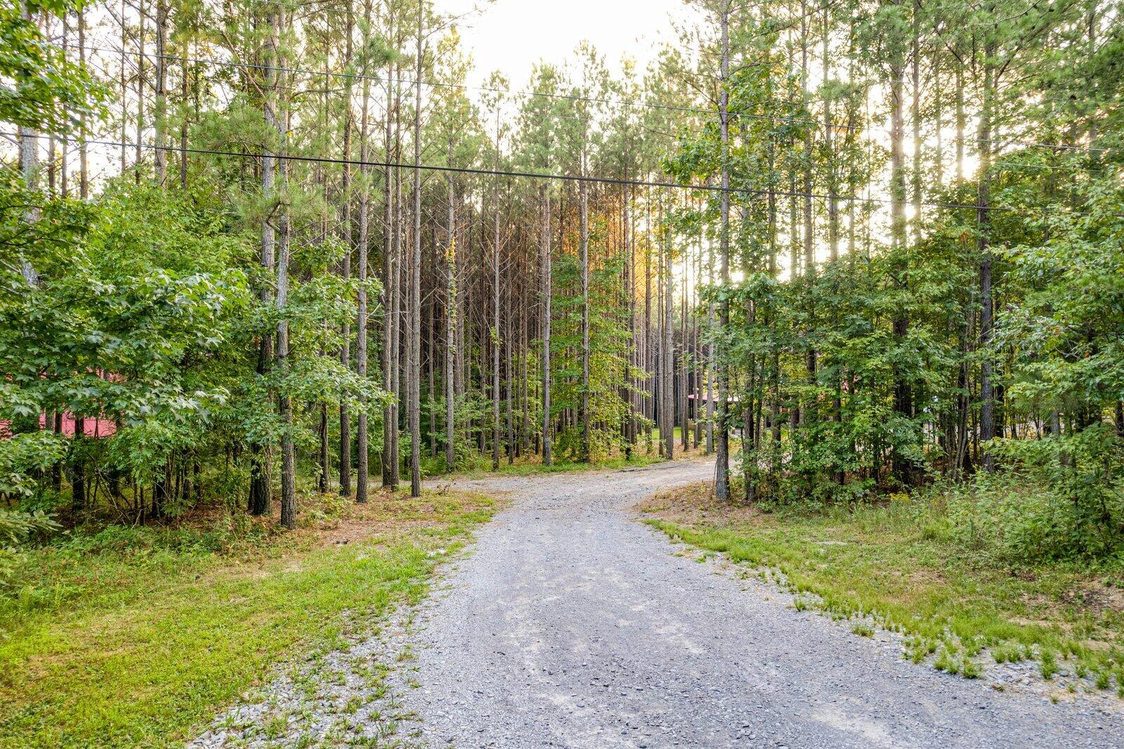 1194 Horseshoe Road