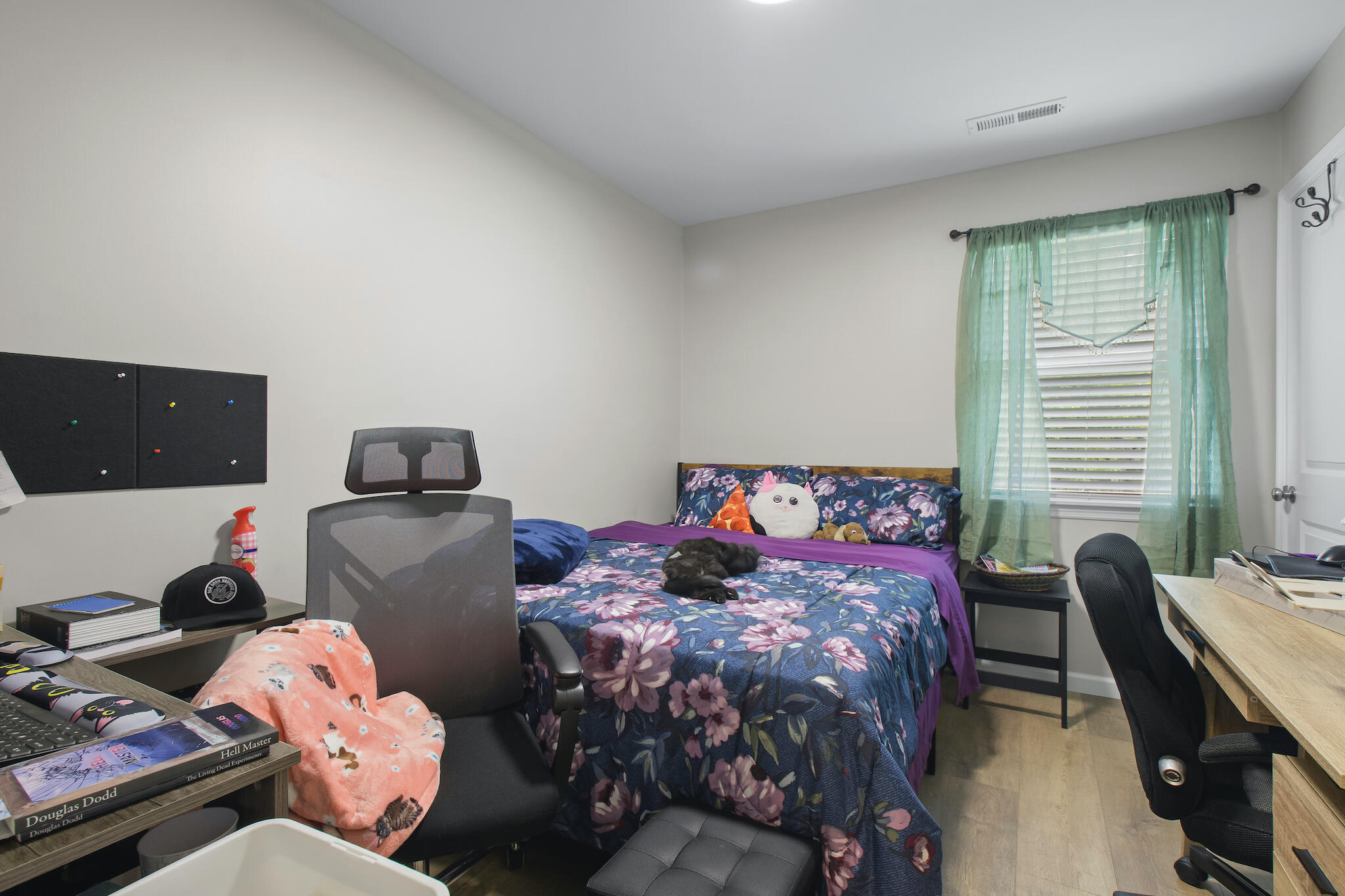 4313 Katie Kim Lane, A And B