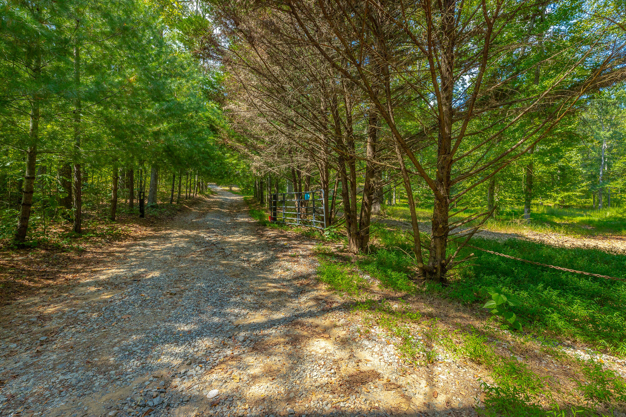695 Van Davis Road NW