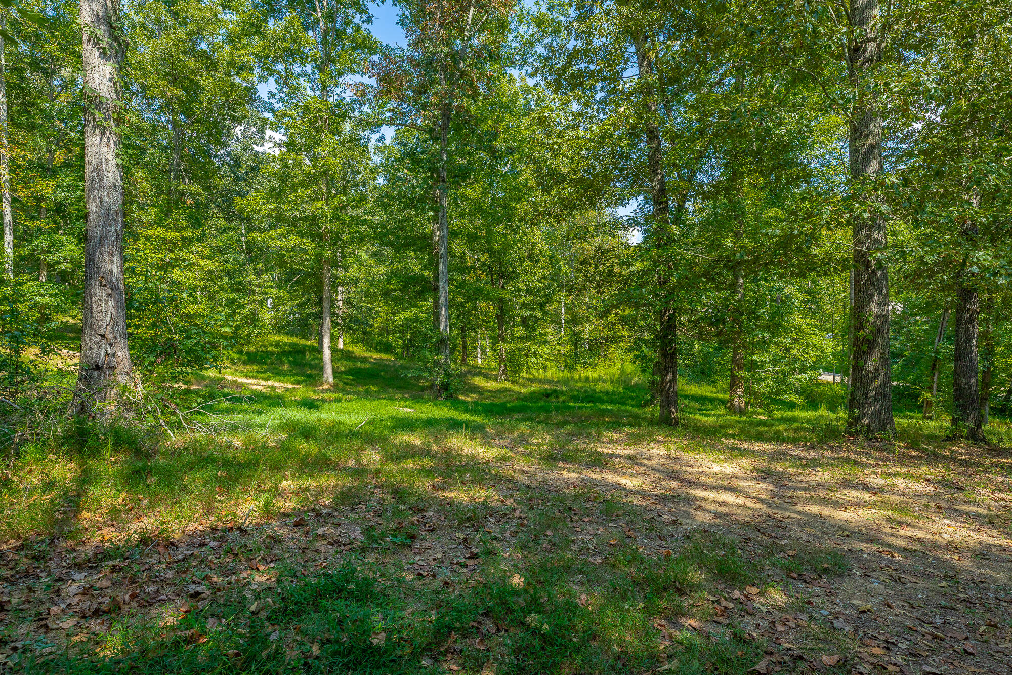 695 Van Davis Road NW