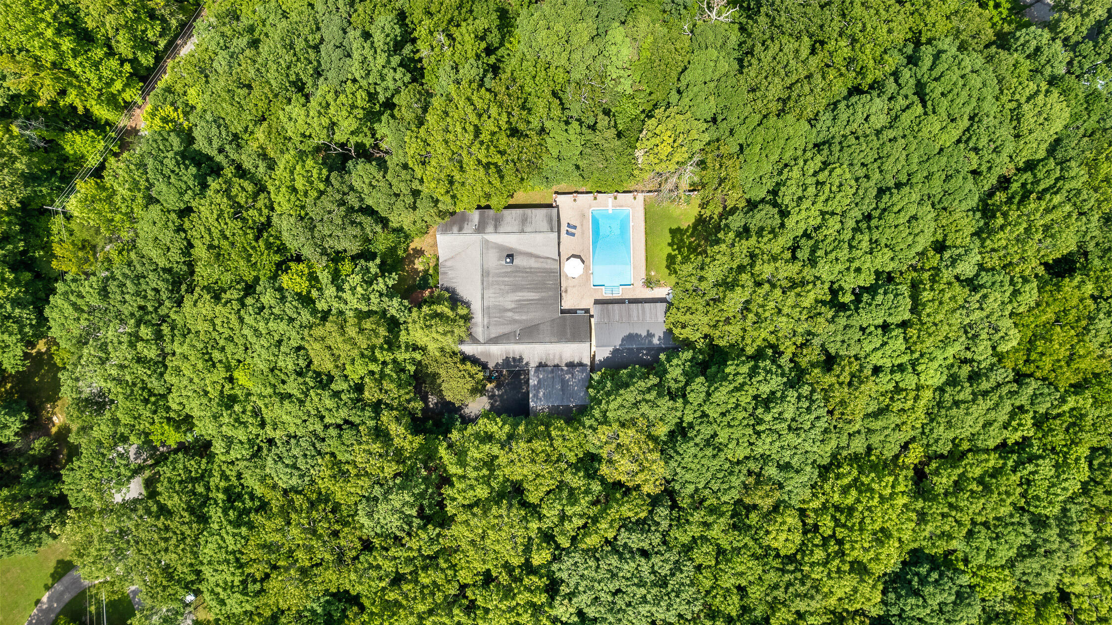 2325 Wood Sorrell Lane